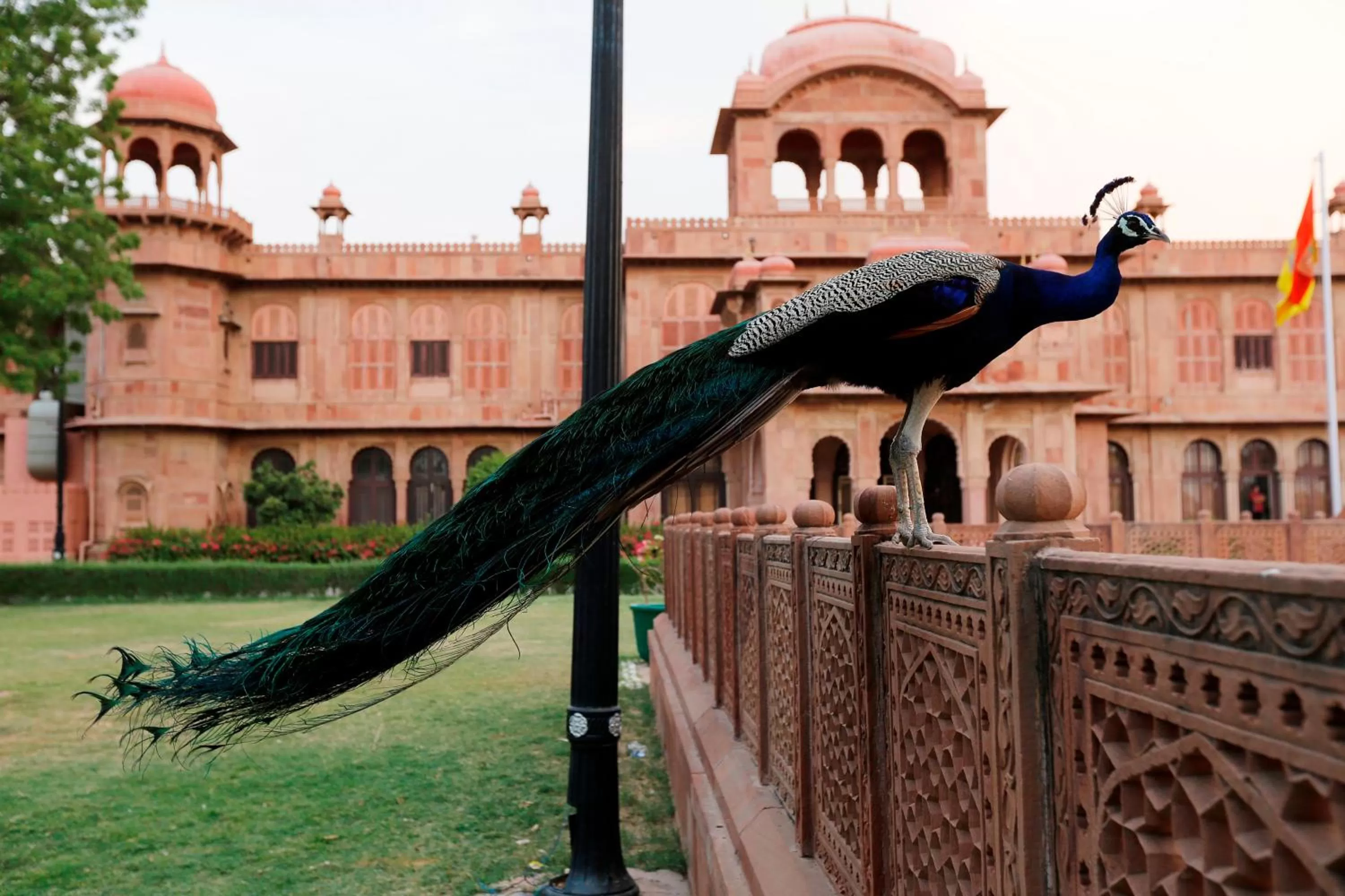Garden in The Lallgarh Palace - A Heritage Hotel