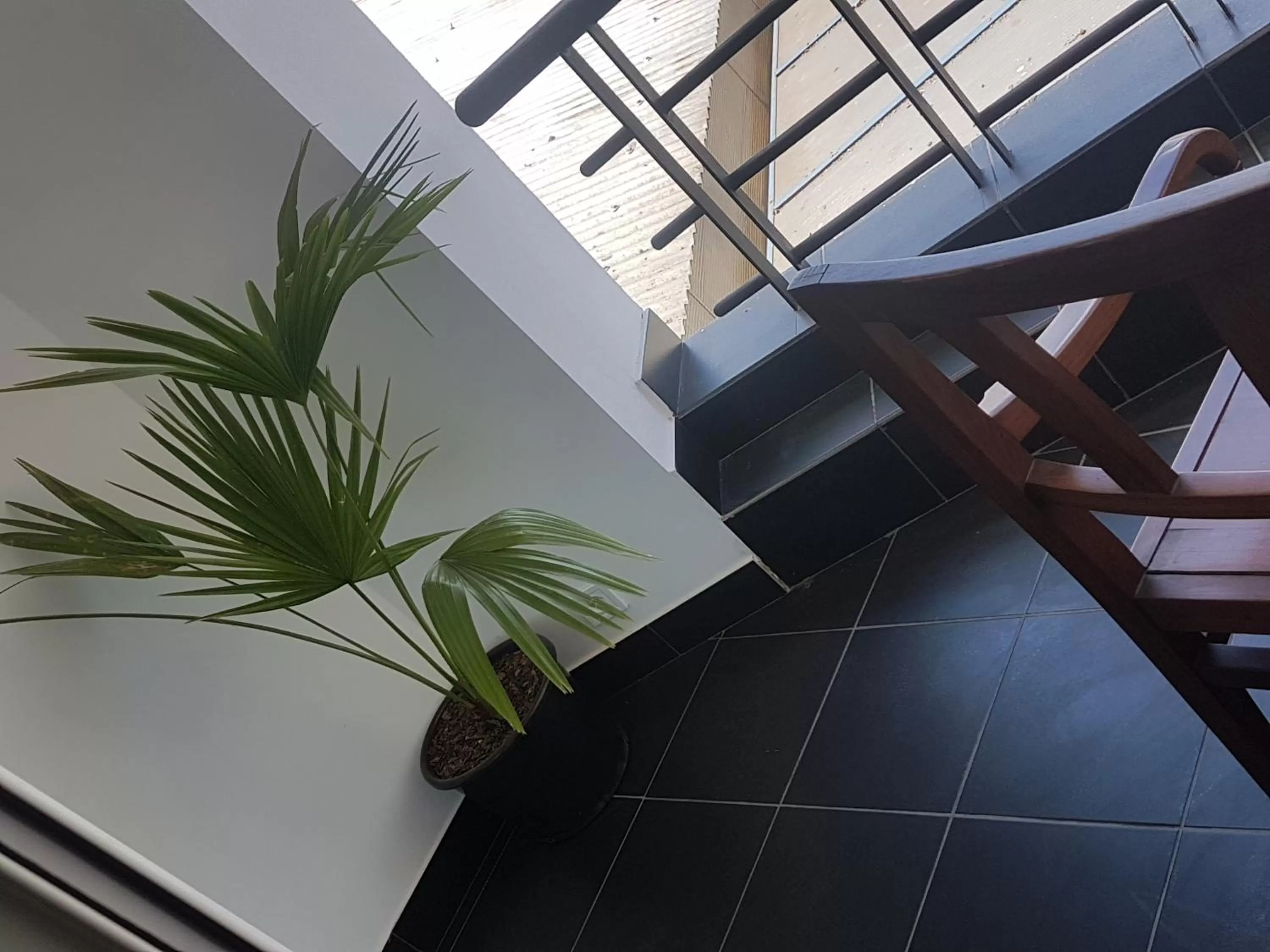 Activities in Sole Hotel