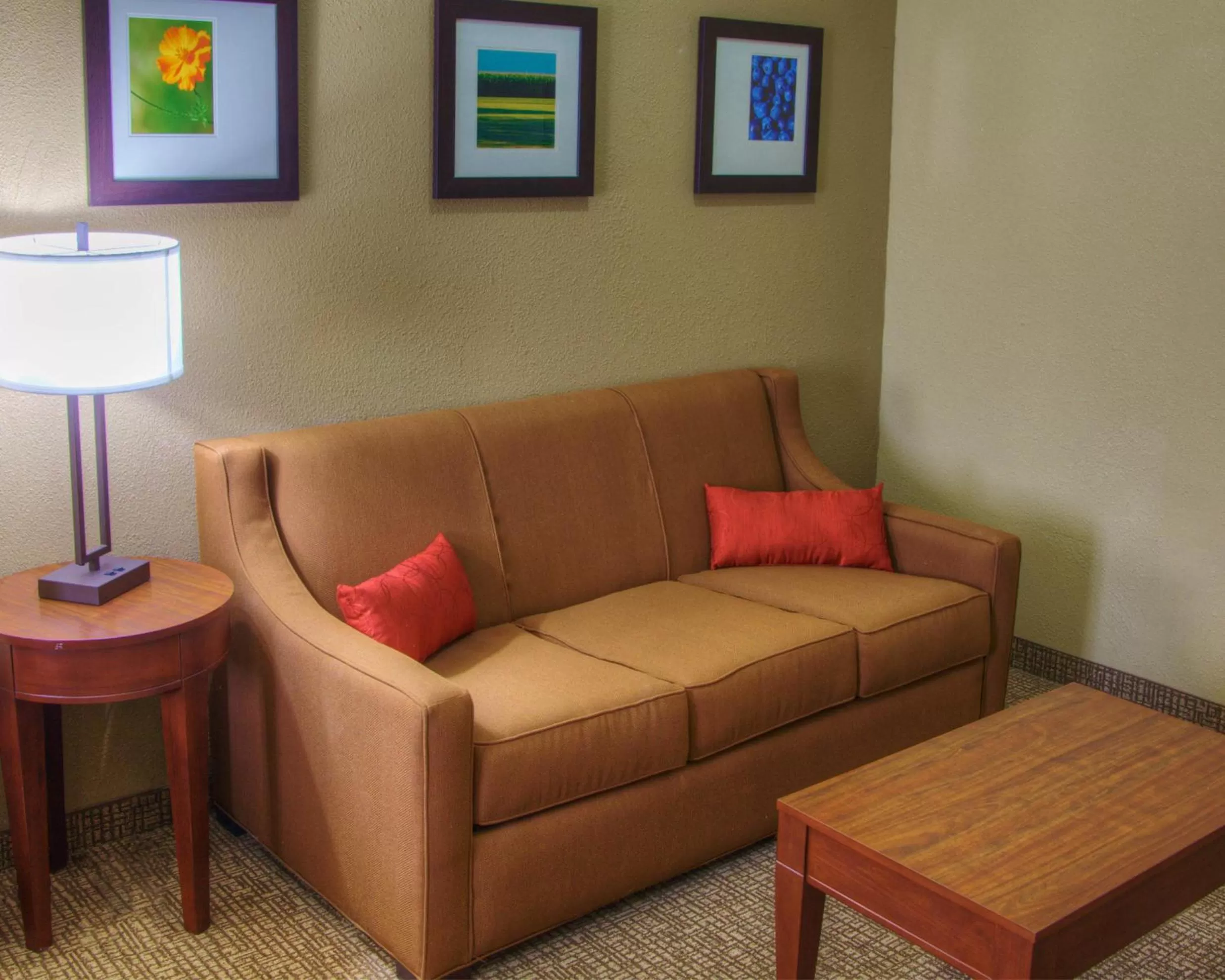 Living room in Comfort Suites Plymouth near US-30