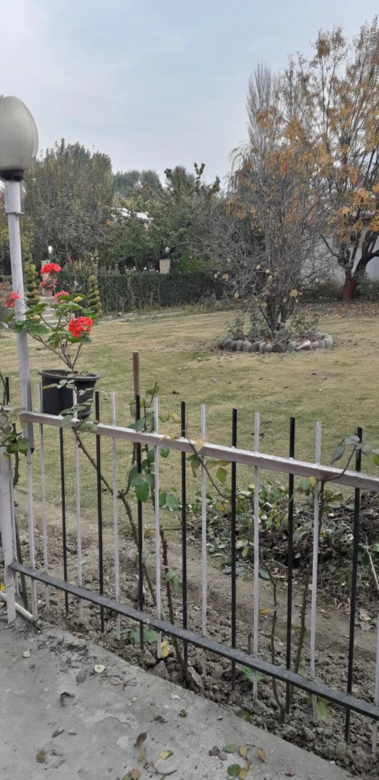 Bed in Hotel Young Mamta