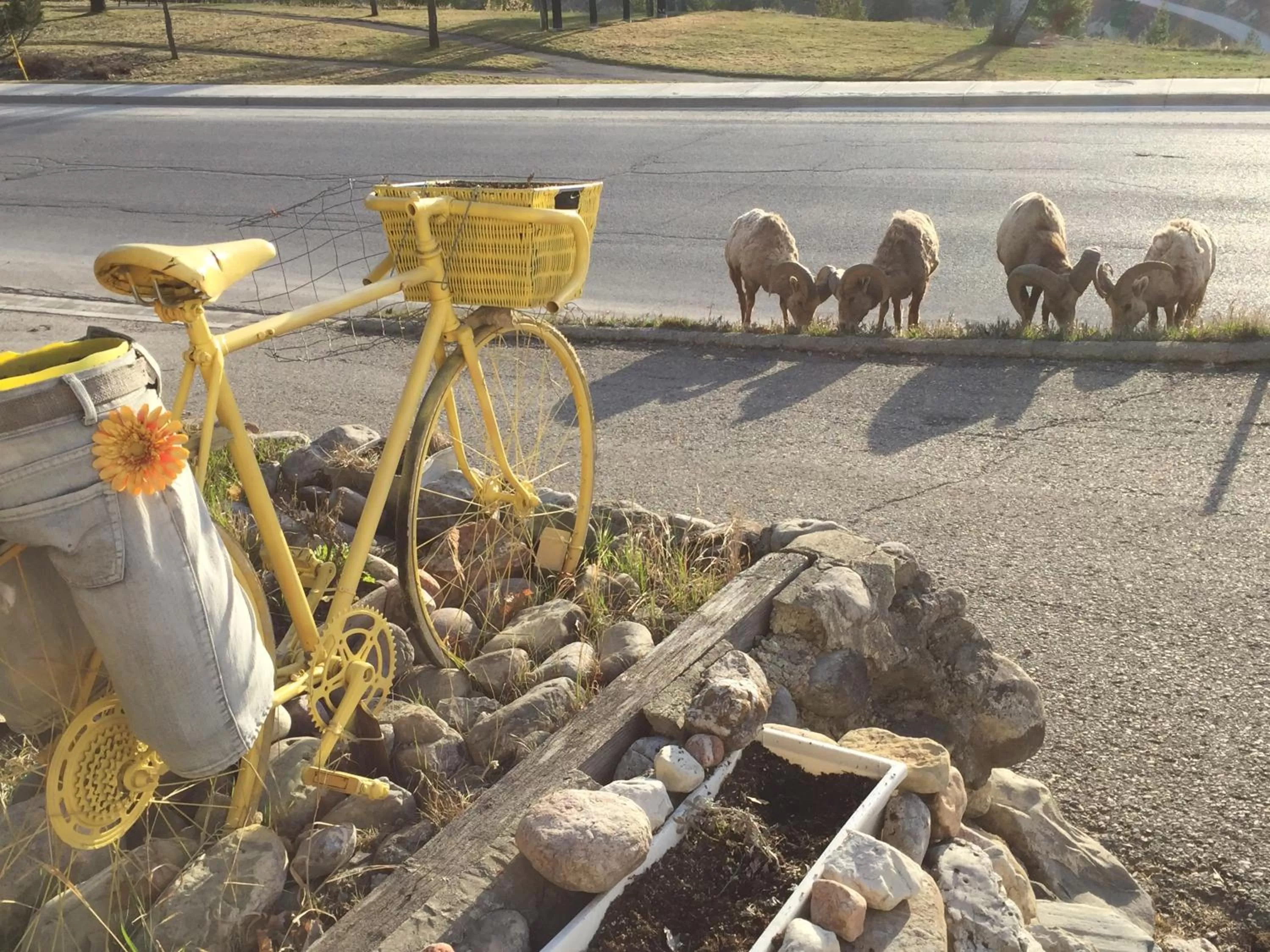 Property building in Misty River Lodge