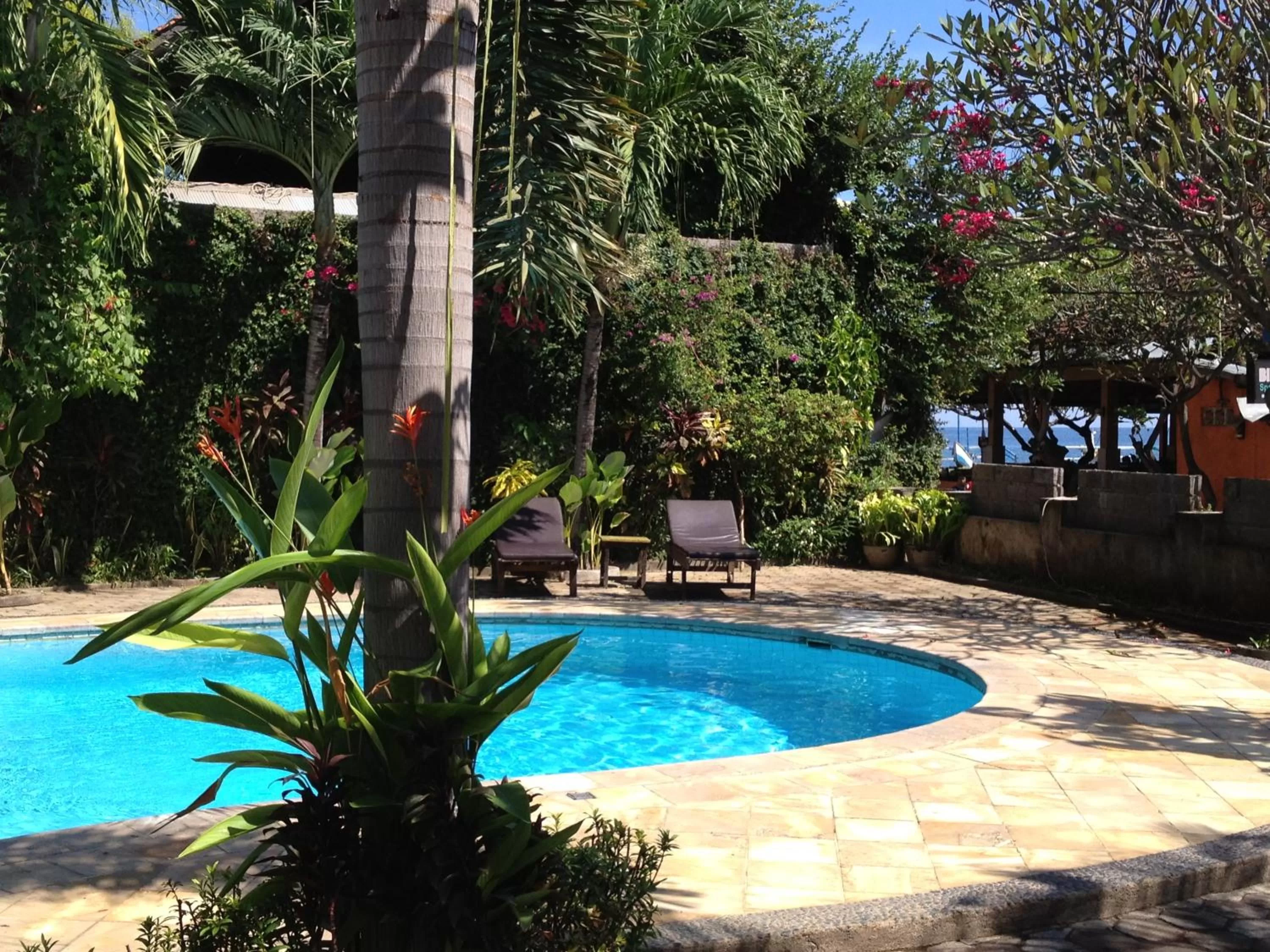 Swimming pool in Astina Hotel