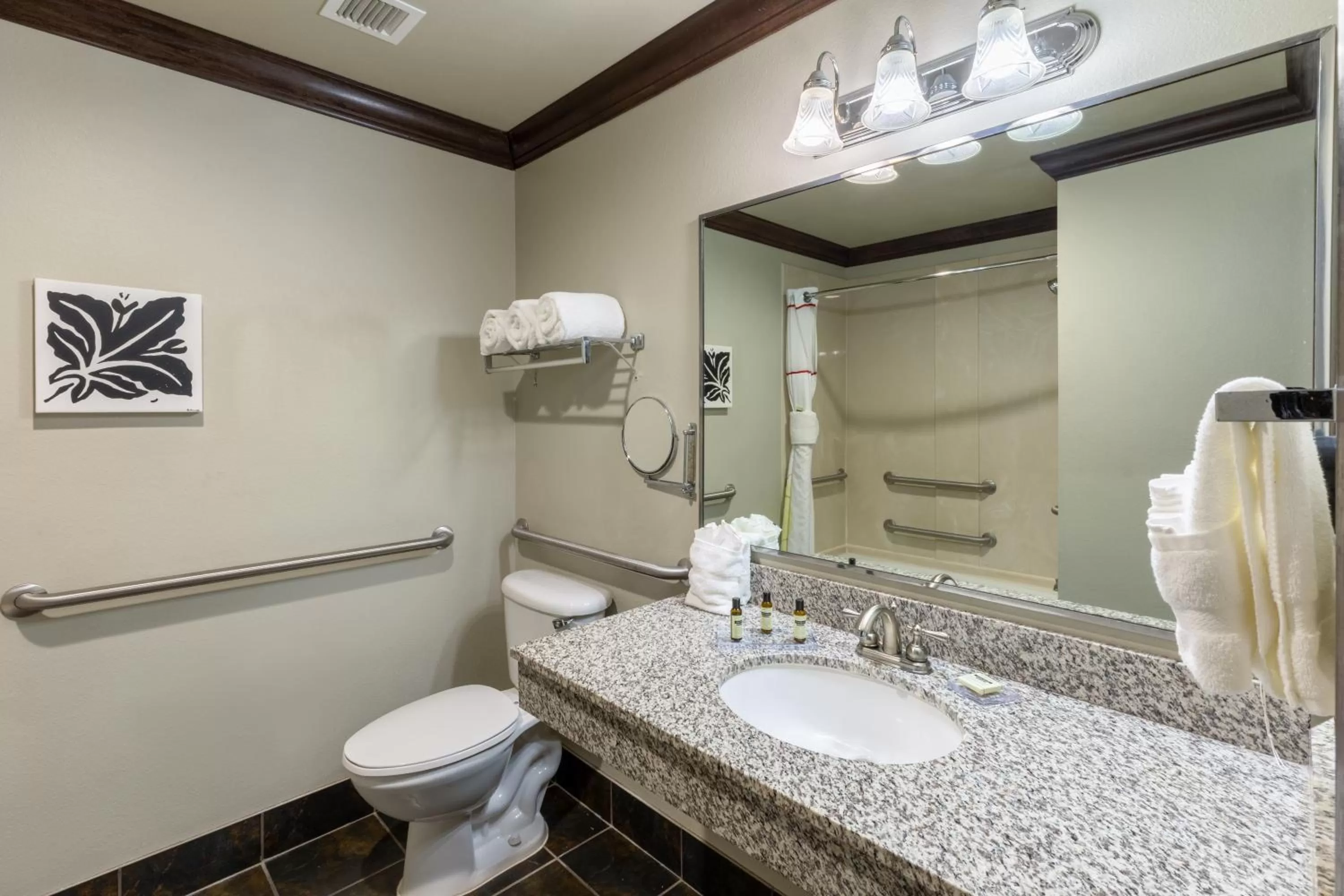 Deluxe King Suite with Tub with Grab Bars - Mobility and Hearing Impaired Access/Non-Smoking in Hawthorn Suites by Wyndham Lubbock