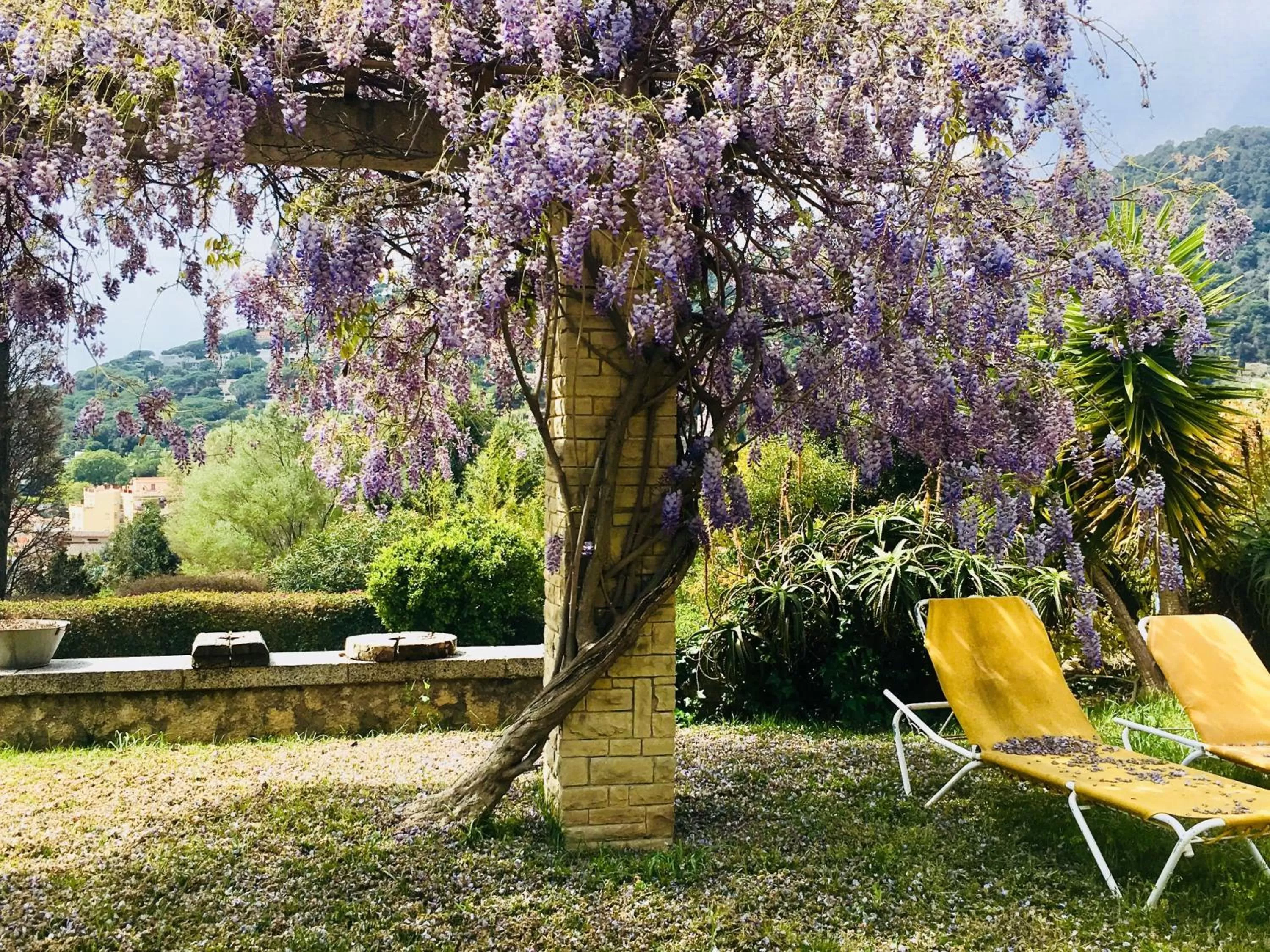 Off site, Garden in B&B Can Casadella