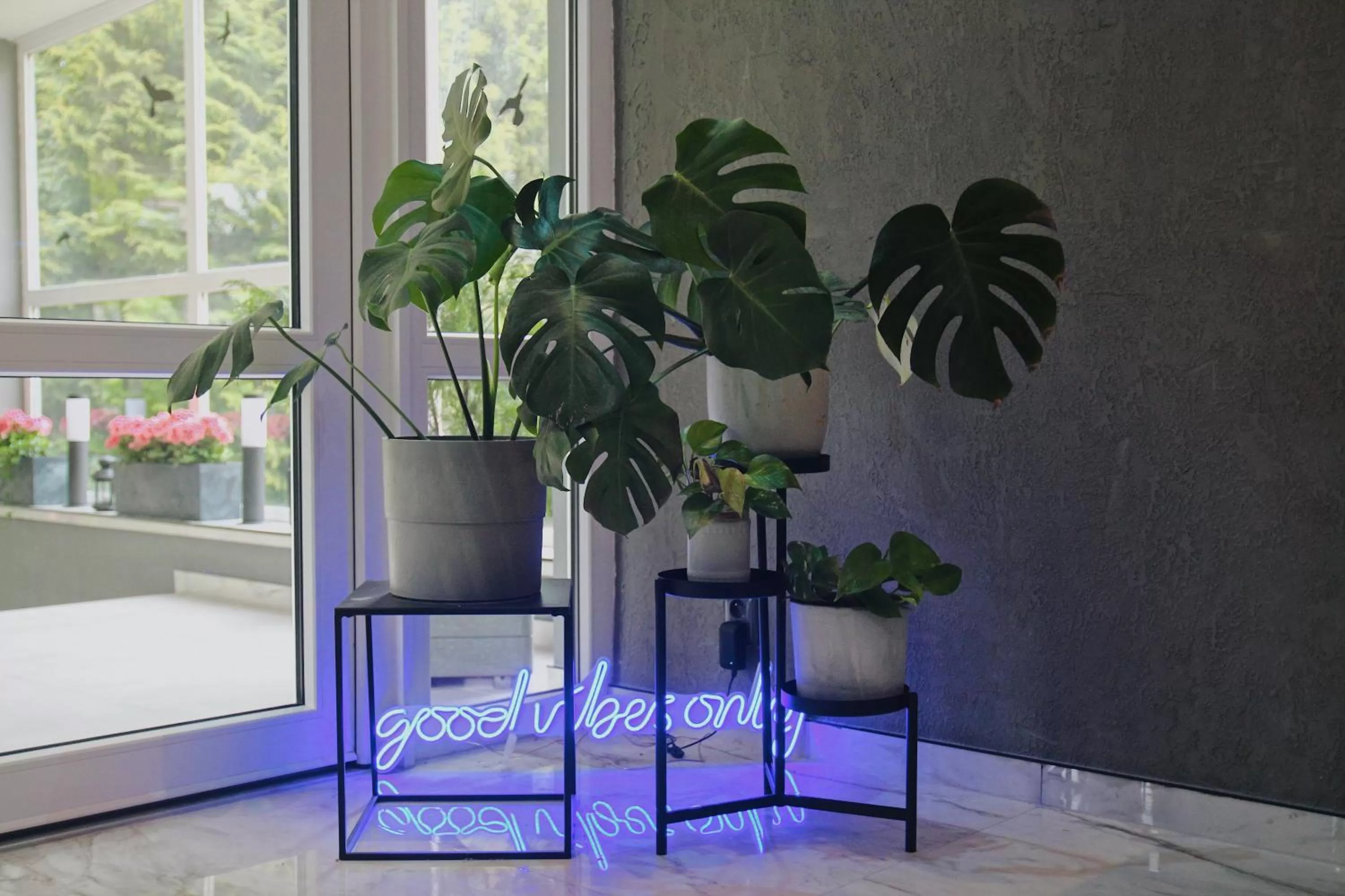 Lobby or reception in Hotel ATLAS