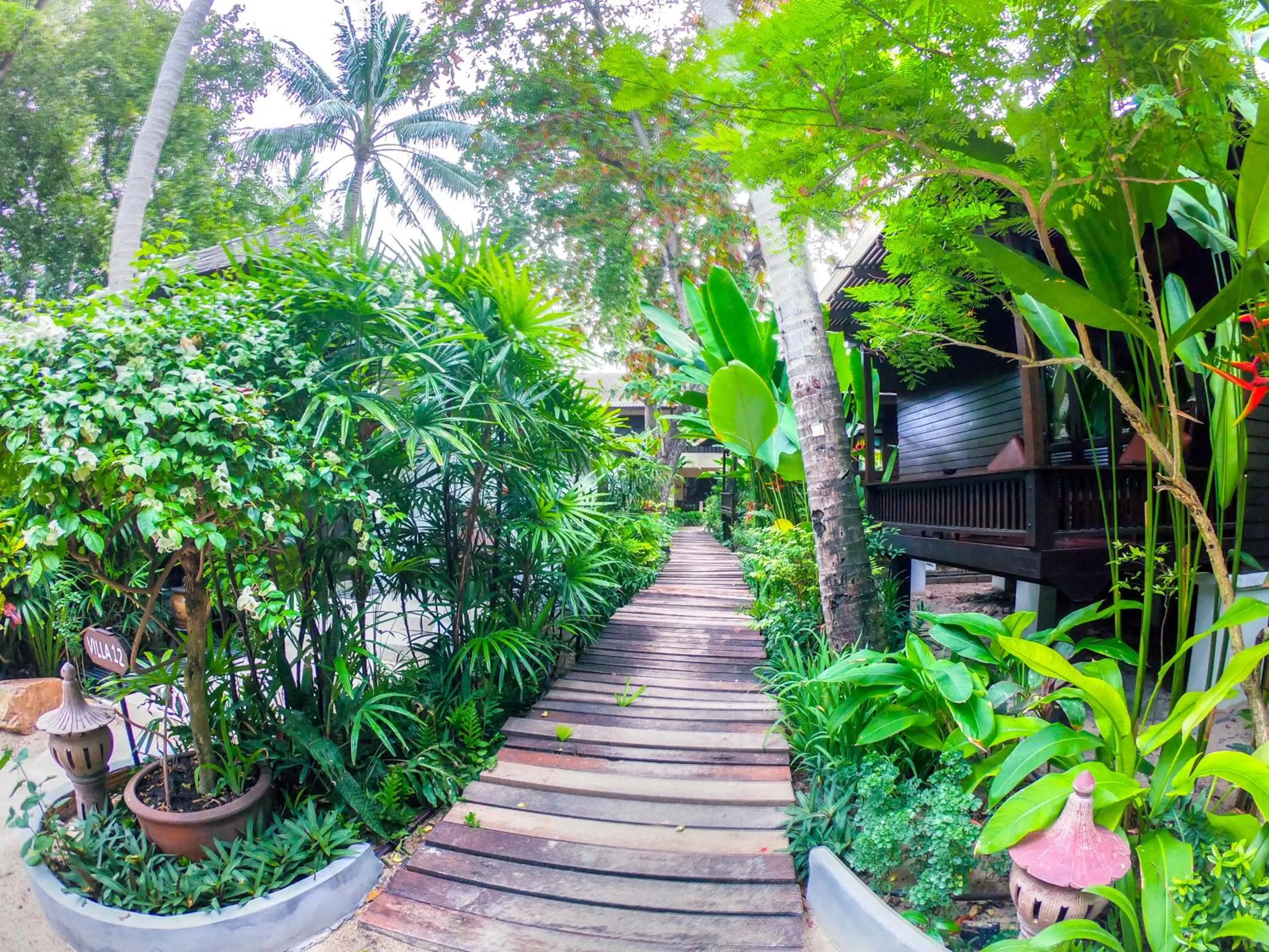 Patio in Chaweng Garden Beach Resort - SHA Plus