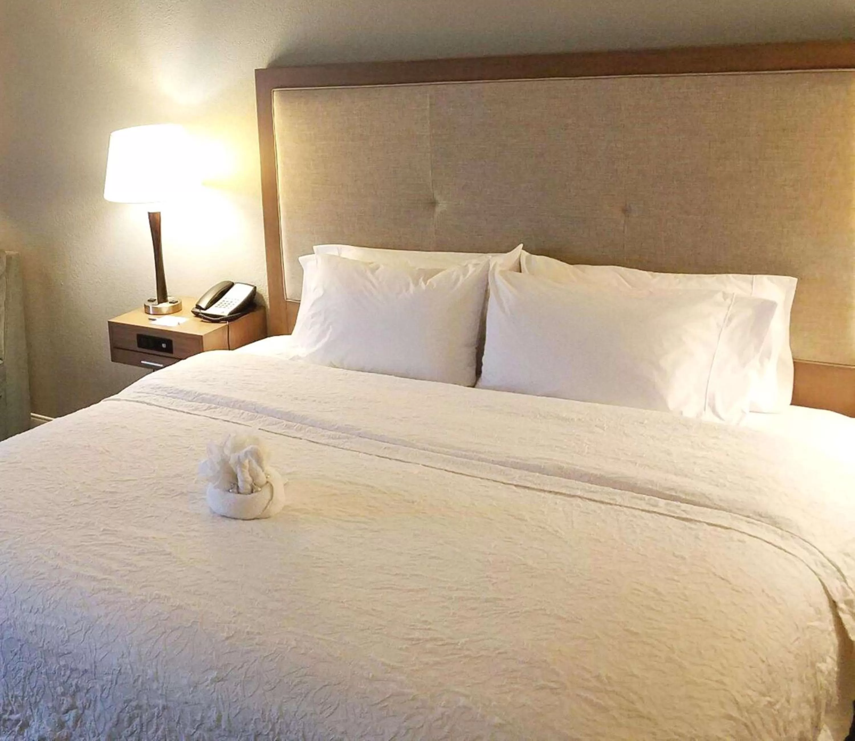 Bed in Hampton Inn Philadelphia-Airport