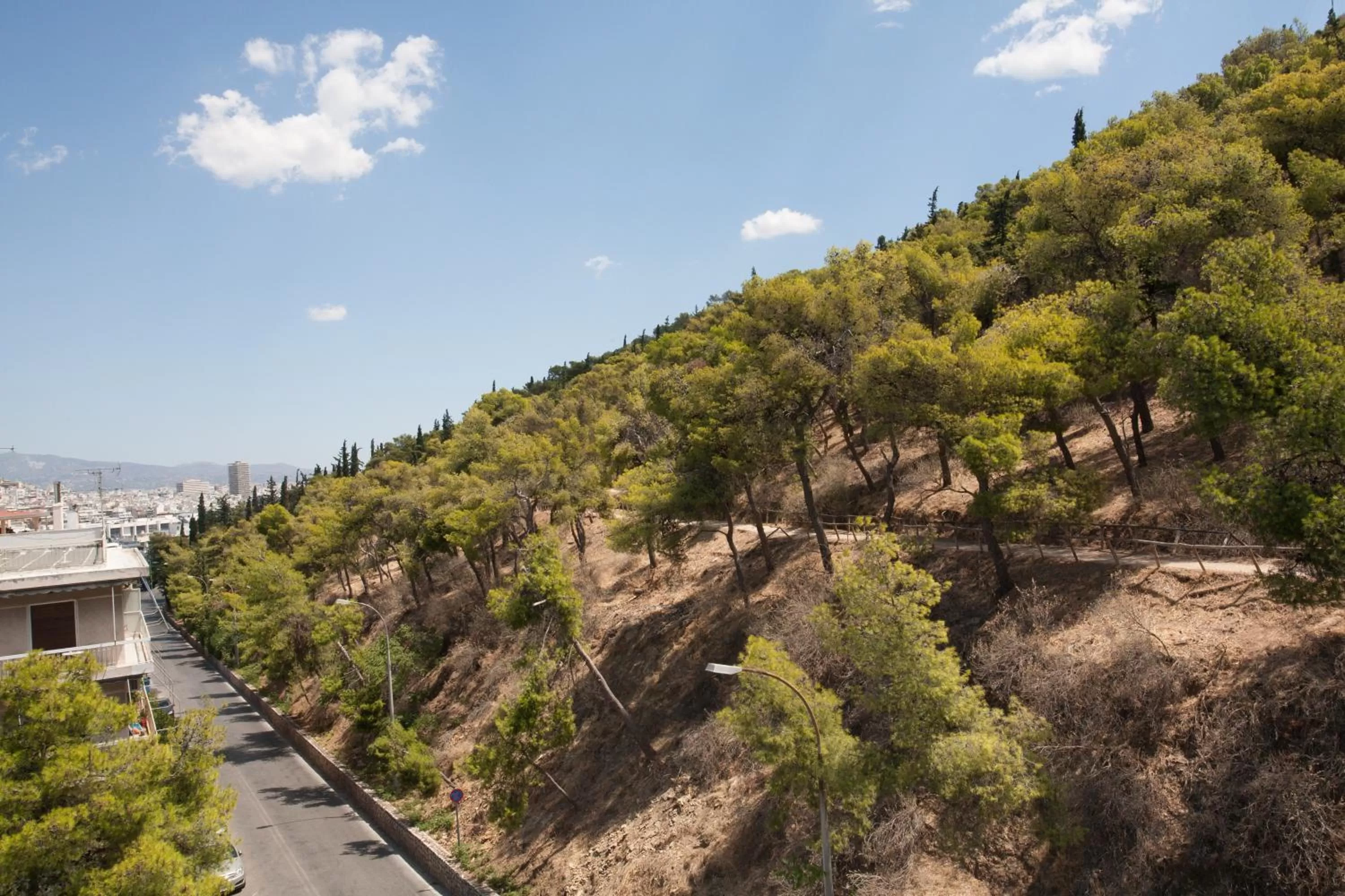 Neighbourhood in ZOIA The Hill by UPSTREET