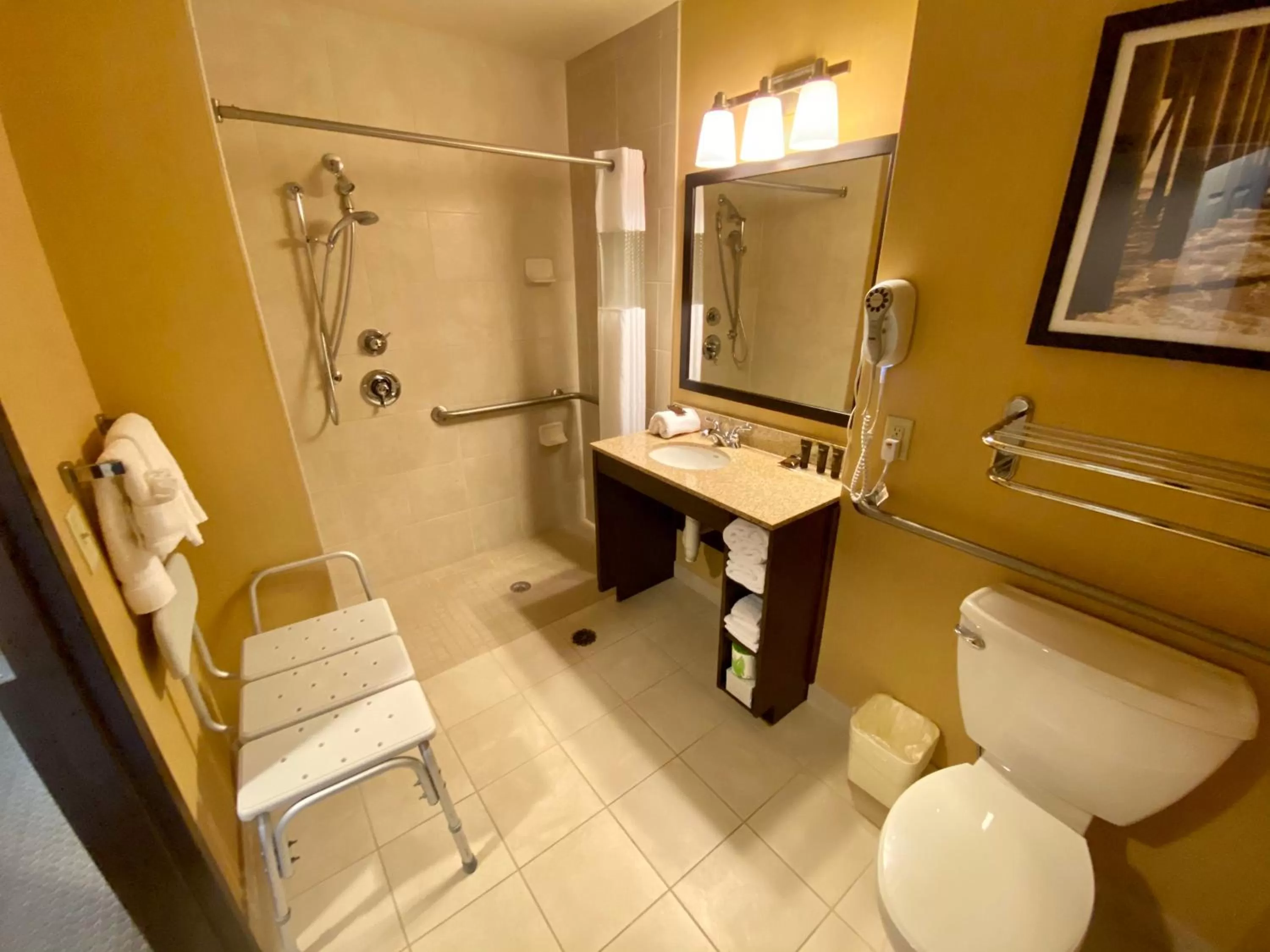 Bathroom in Wingate By Wyndham Frisco