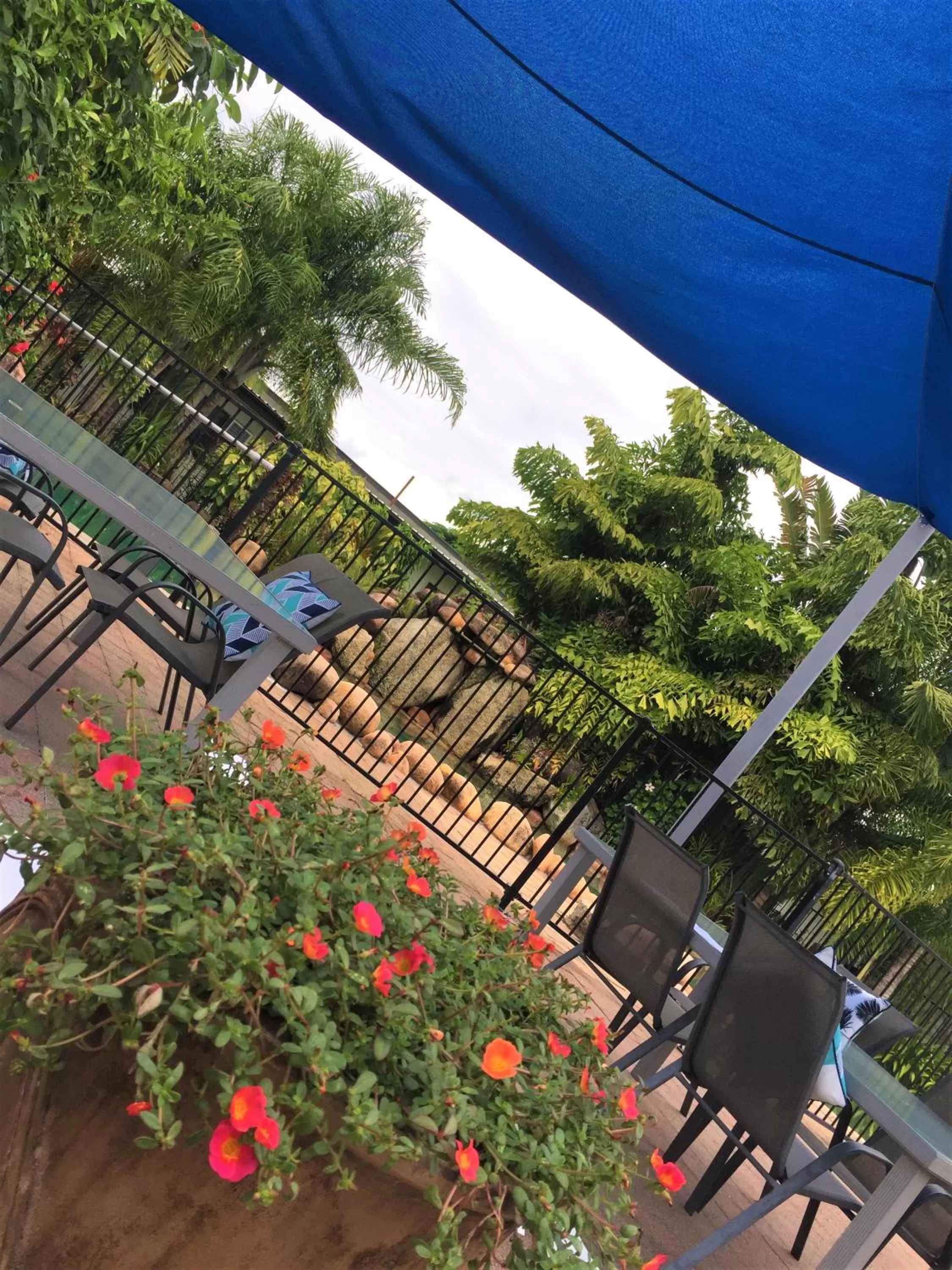 Restaurant/places to eat in Cardwell at the Beach