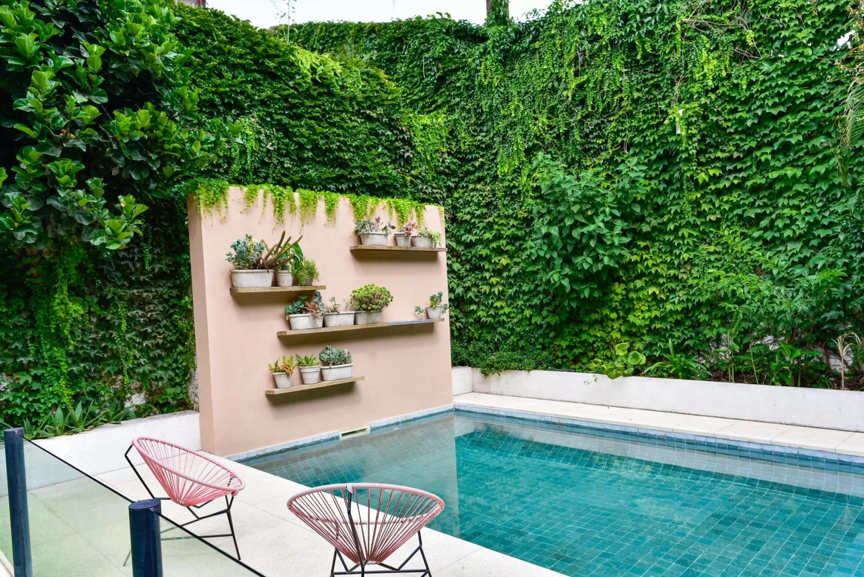 Garden, Swimming Pool in Casa Caravan - Plant Based Concept House