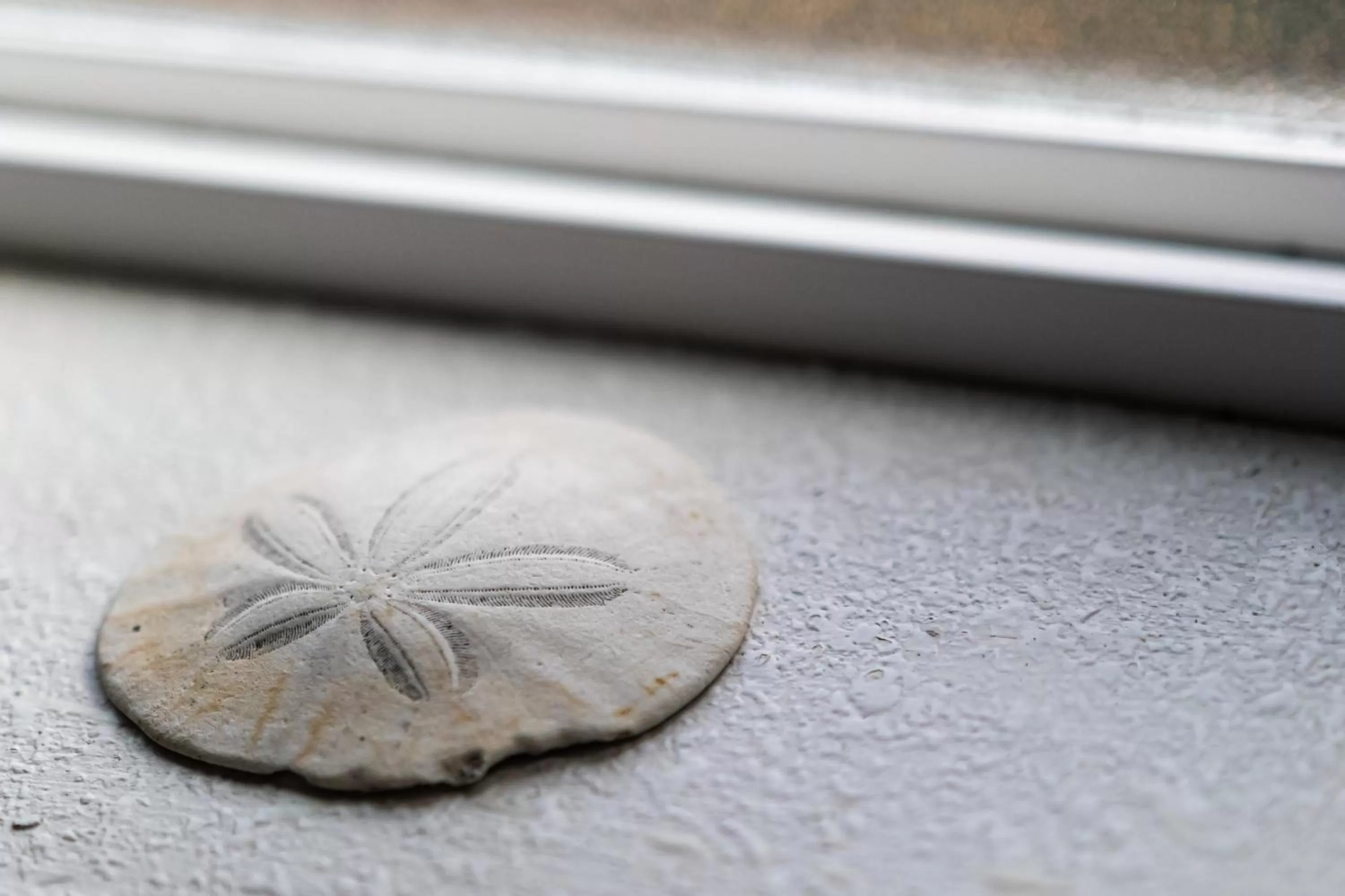 View (from property/room) in Terimore Lodging by the Sea