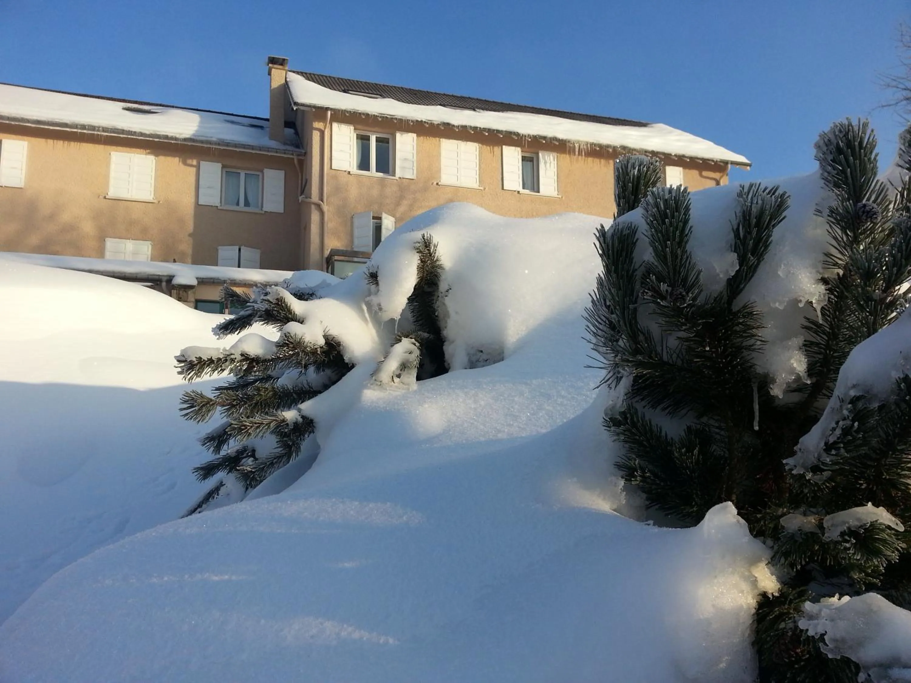 Winter in Bel Horizon