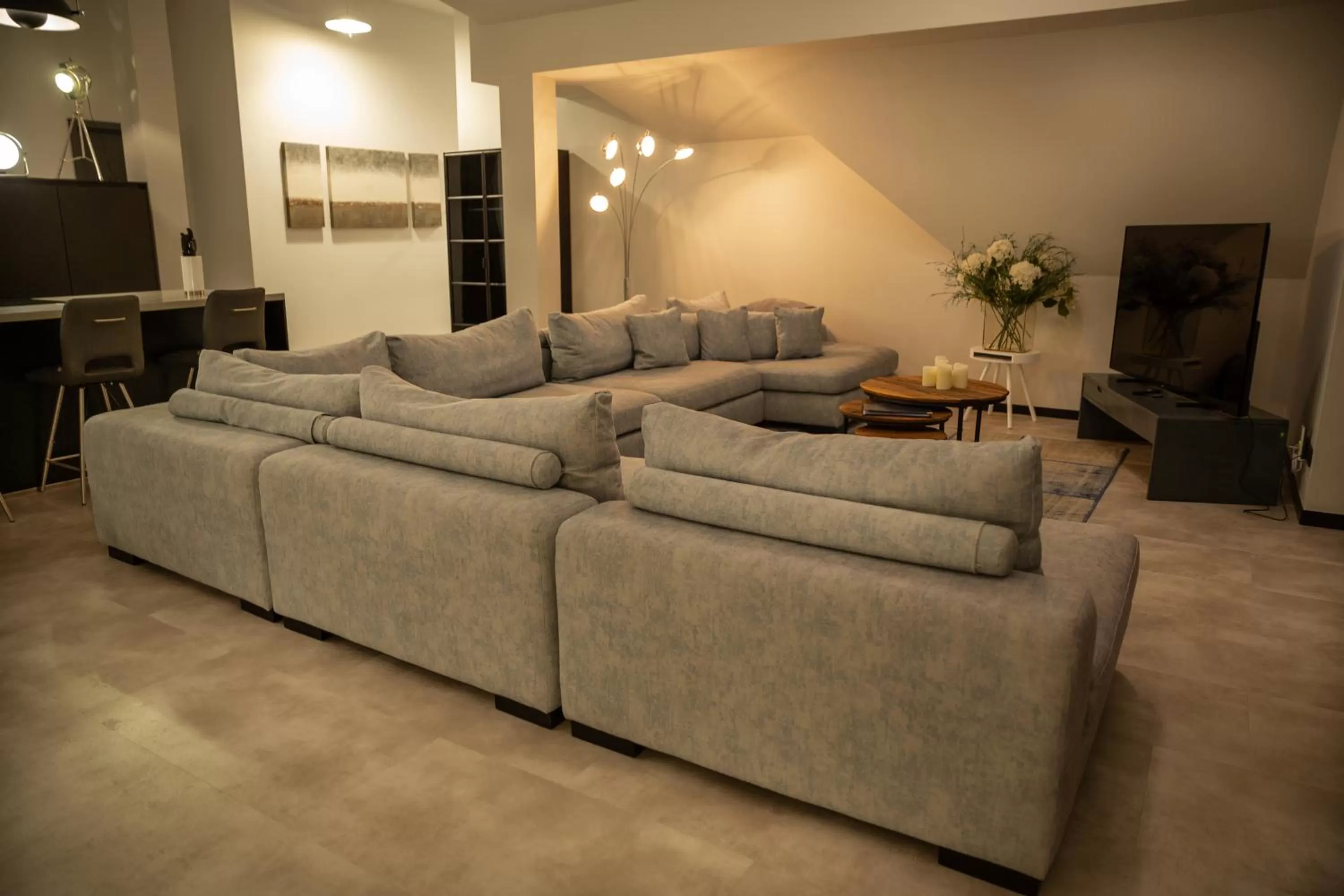 TV and multimedia in Astenblick Apartments Winterberg with sauna