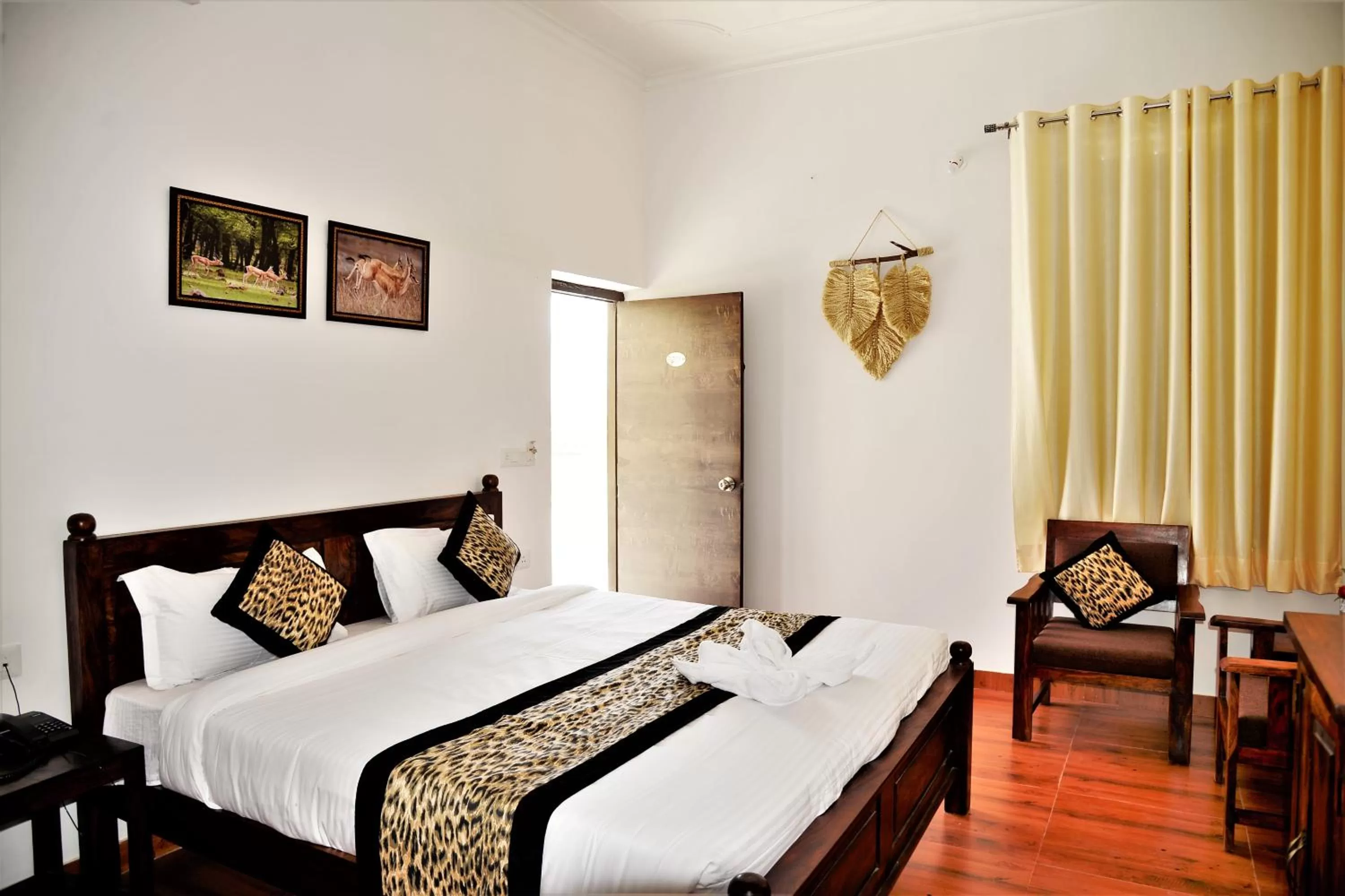 Photo of the whole room in Omak Tiger Seven