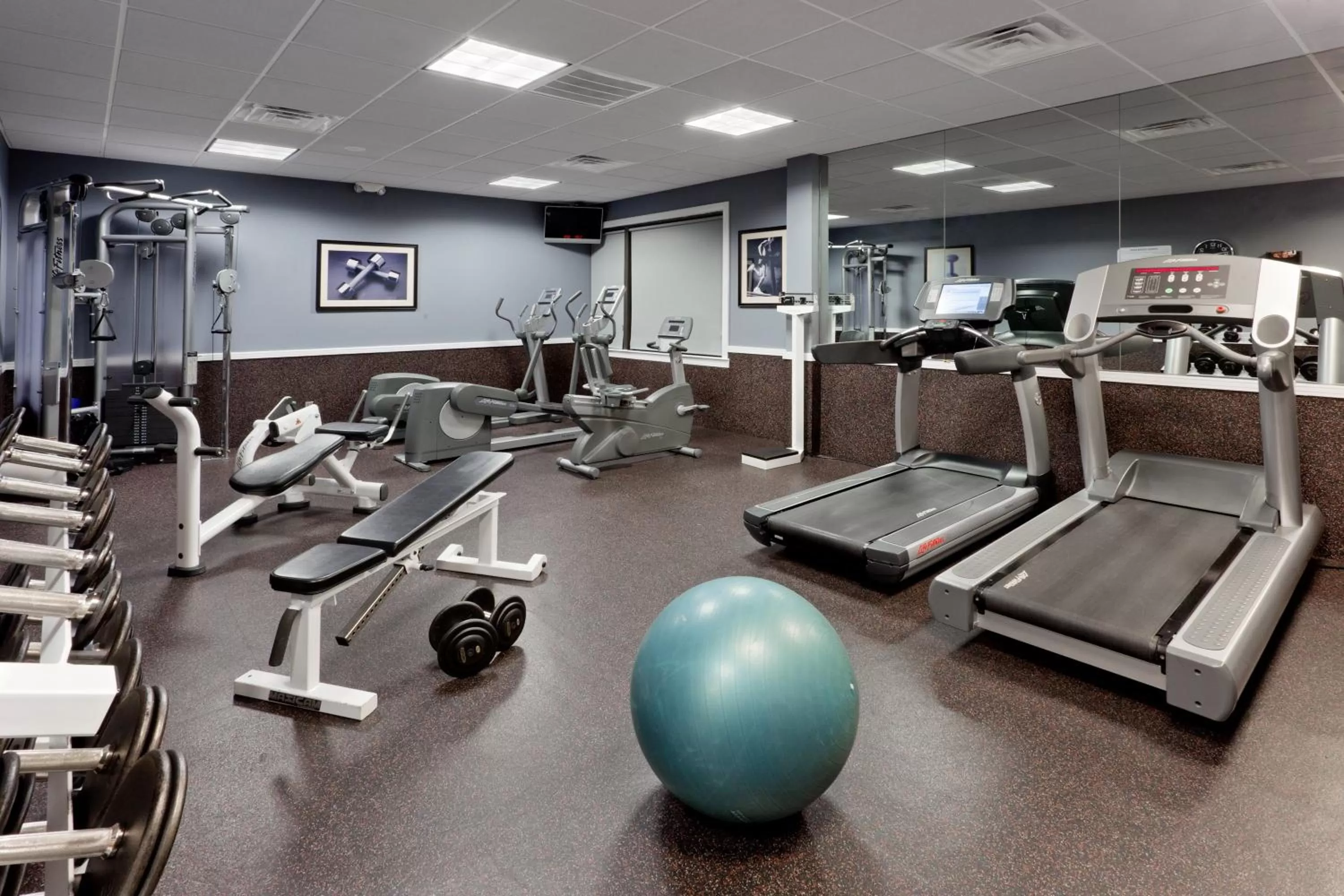 Fitness centre/facilities in Holiday Inn Clark - Newark by IHG