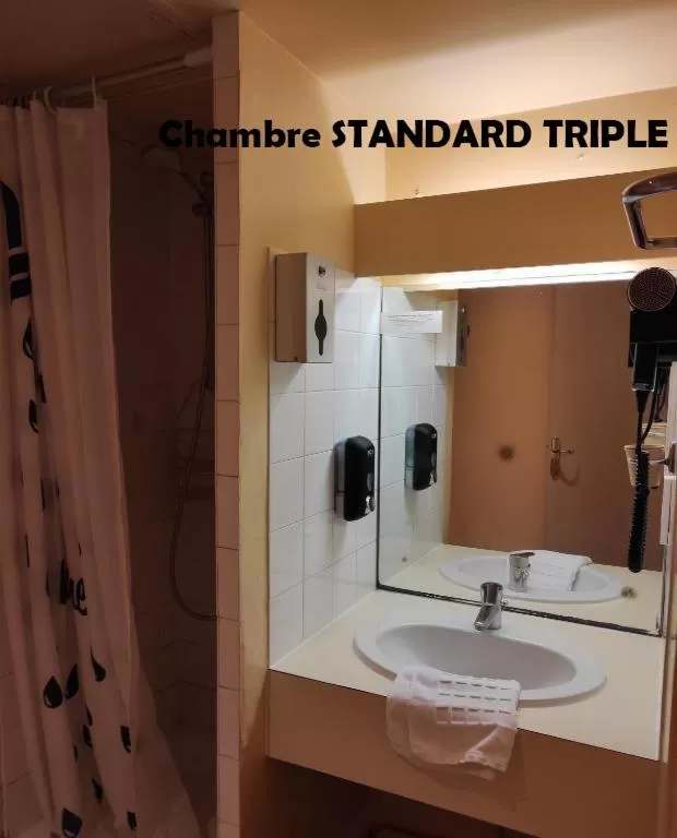 Bathroom in Hôtel Terminus - Pizzeria Pizz'a gogo - salle de sport - face à la gare