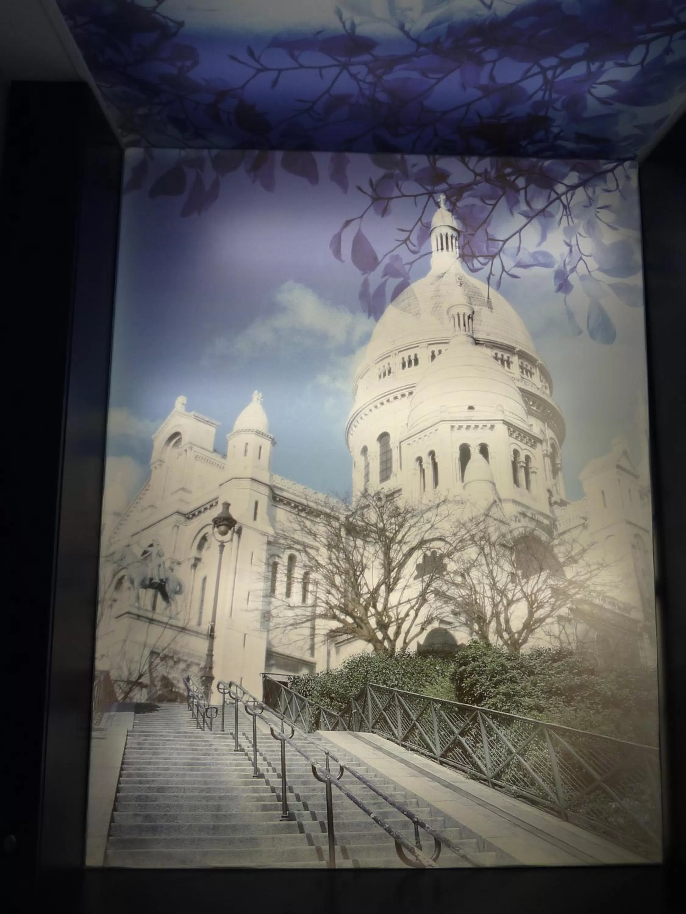 Area and facilities in Prince Albert Montmartre