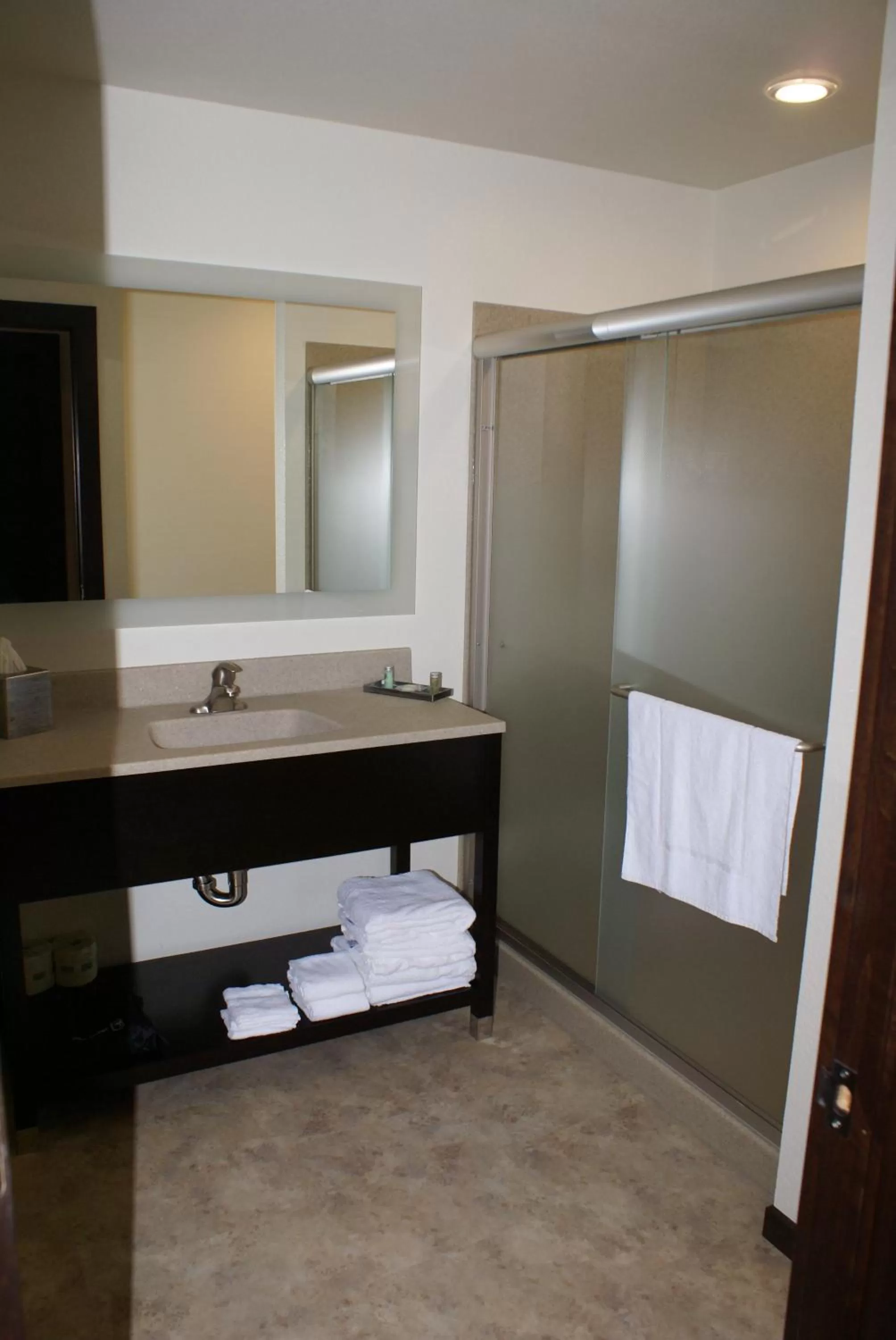 Shower in Boarders Inn & Suites by Cobblestone Hotels - Syracuse