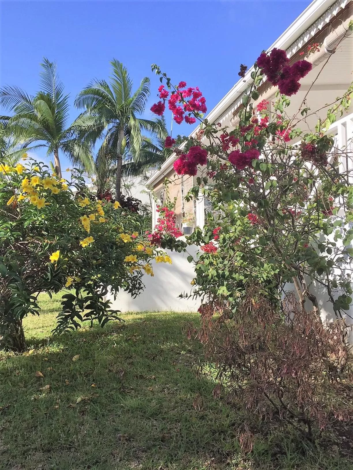 Garden in La Case O zoizos