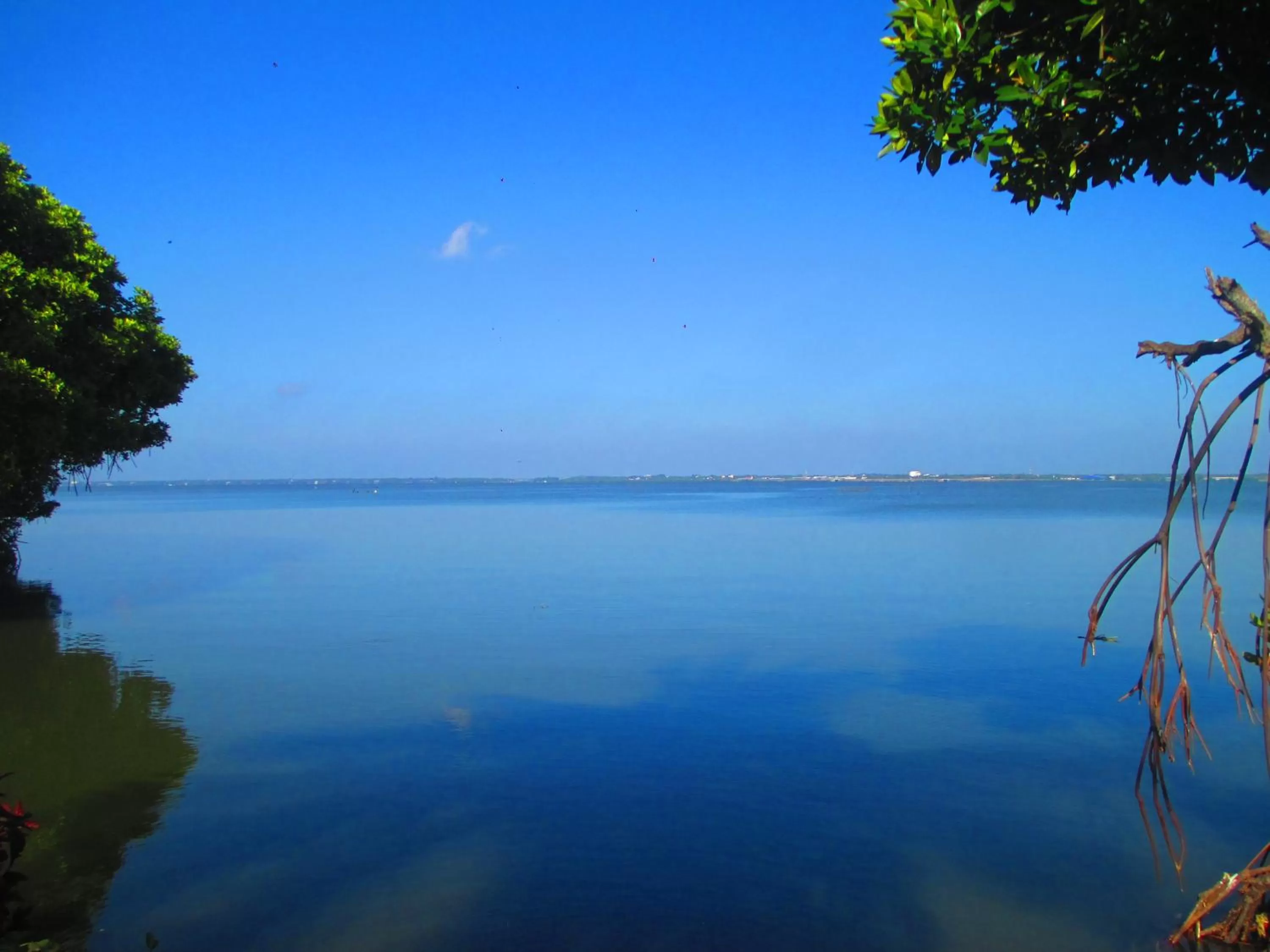 Day in Nico Lagoon Hotel