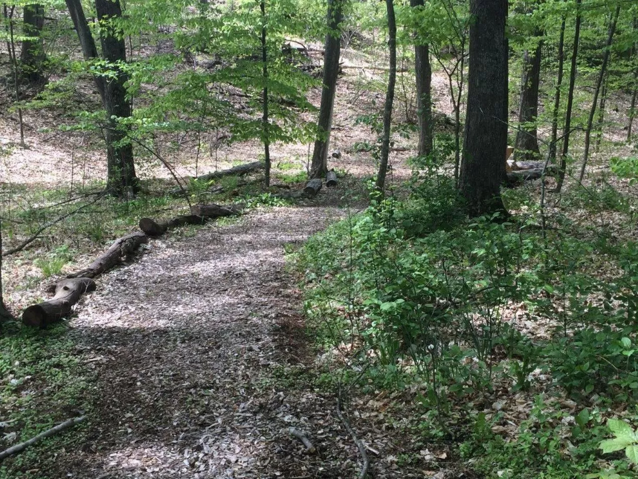 Hiking, Natural Landscape in The Landing Resort