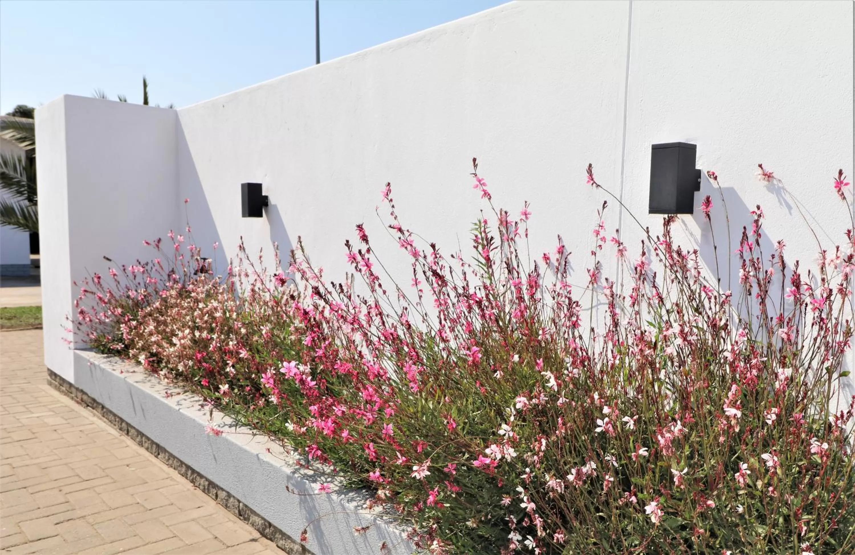 Facade/entrance, Property Building in Tiende Laan Bed & Breakfast and Self-Catering