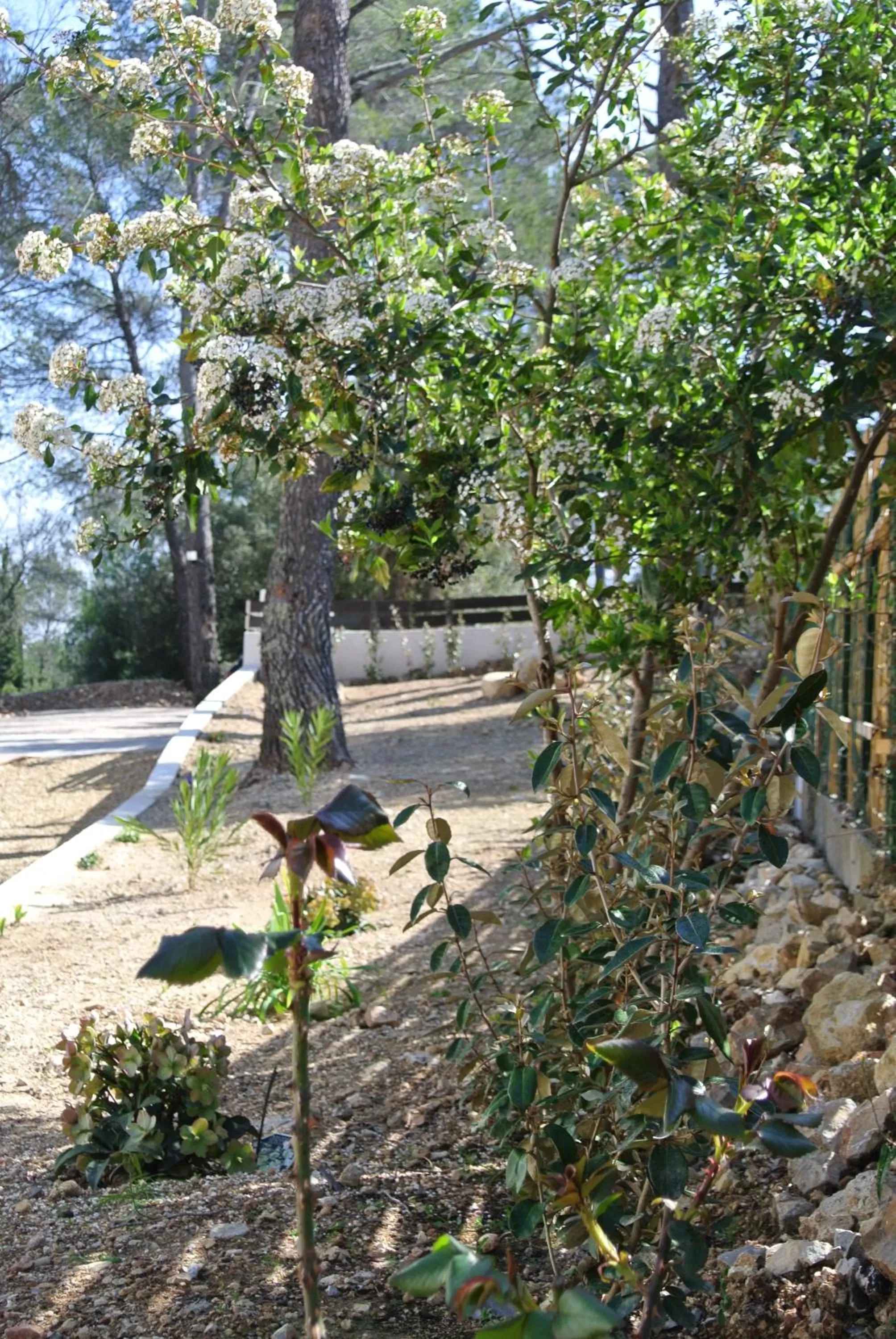 CARPE DIEM Résidence Hôtelière