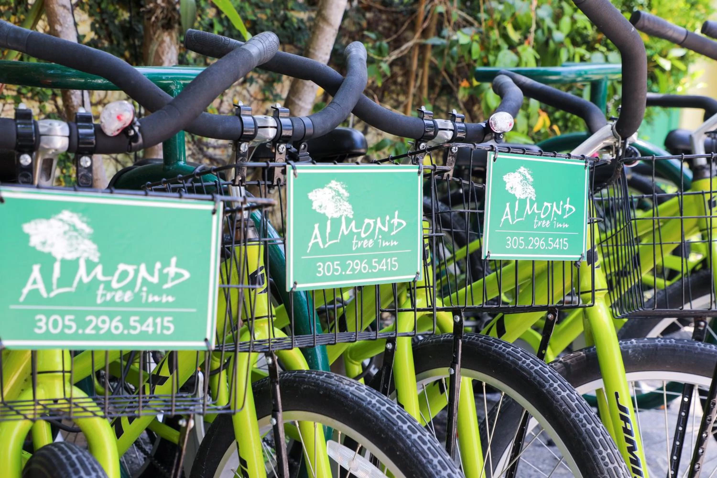 Cycling in Almond Tree Inn - Adults Only