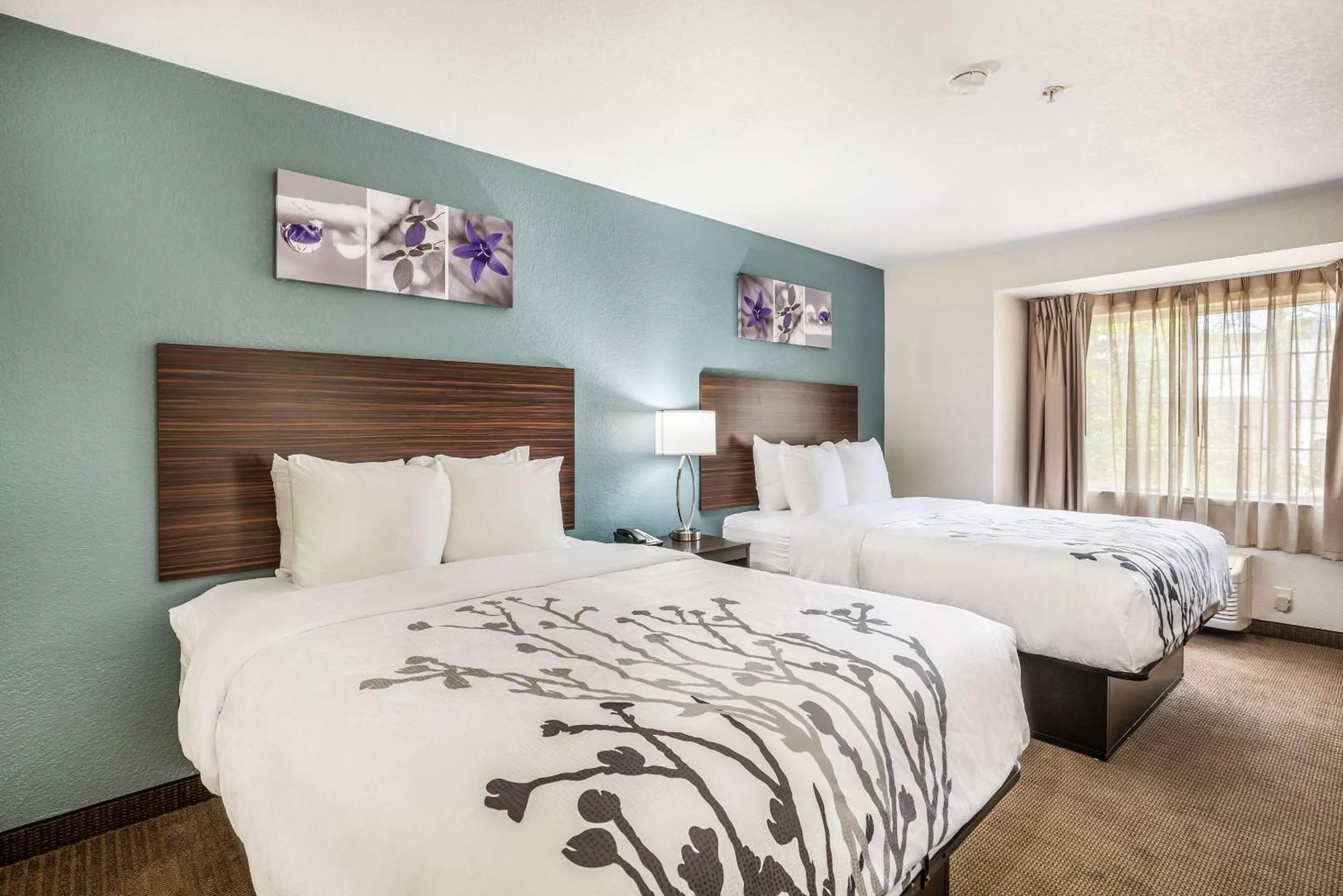 Photo of the whole room, Bed in Sleep Inn & Suites Tallahassee-Capitol