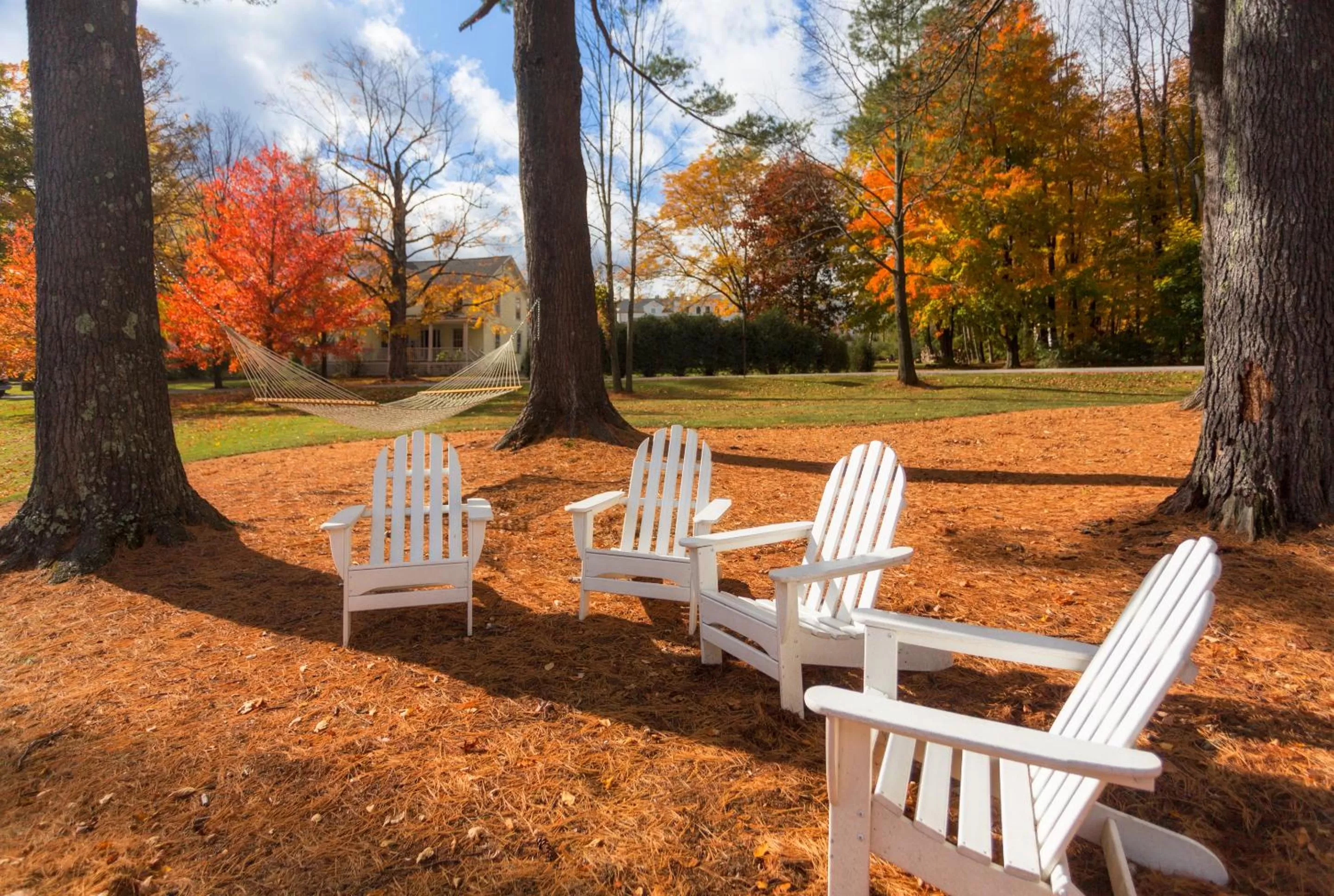 Natural landscape, Garden in The Inn at Manchester