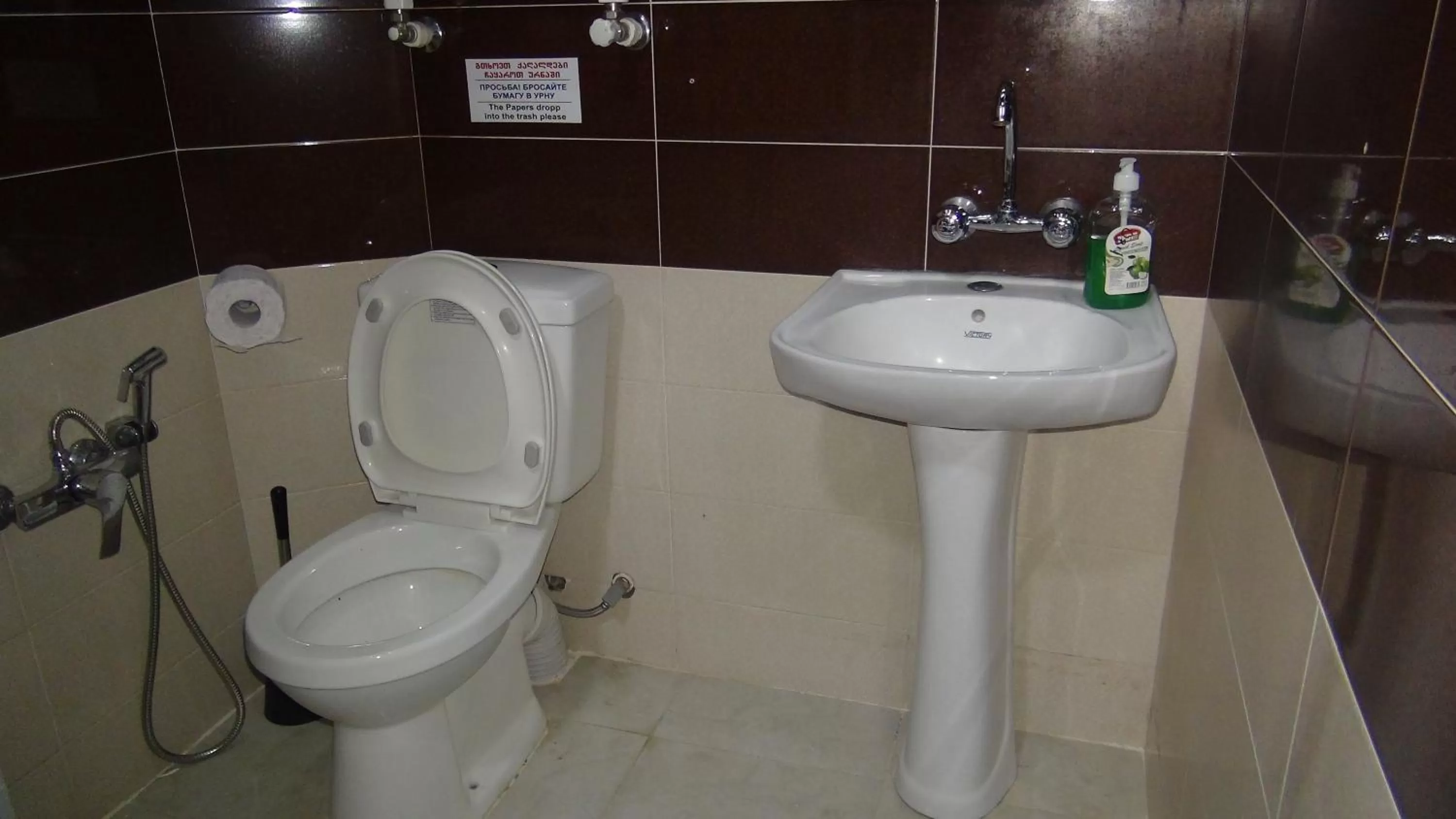 Bathroom in Old House in Sighnaghi