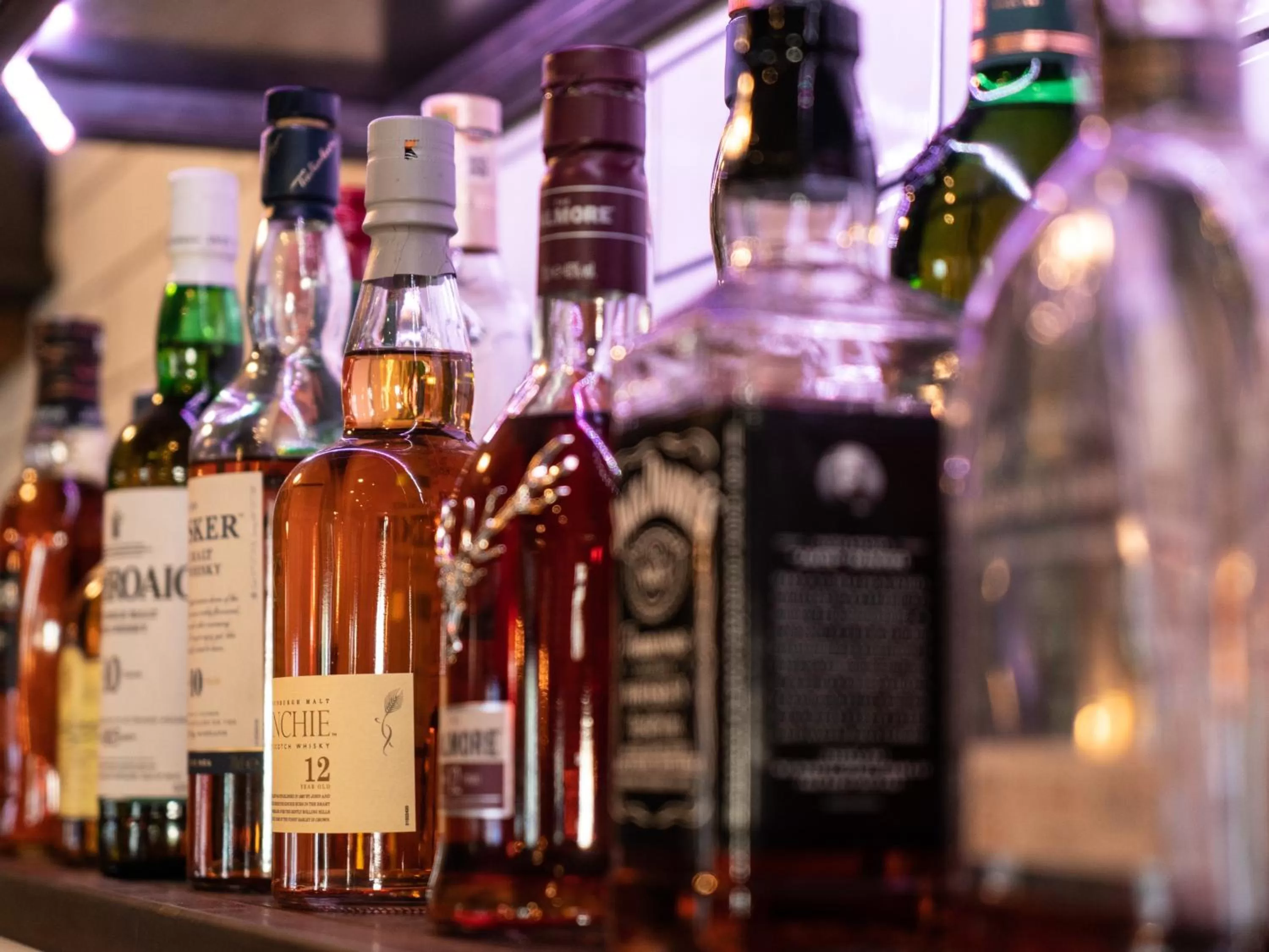 Lounge or bar in The Lion Pub & Grill