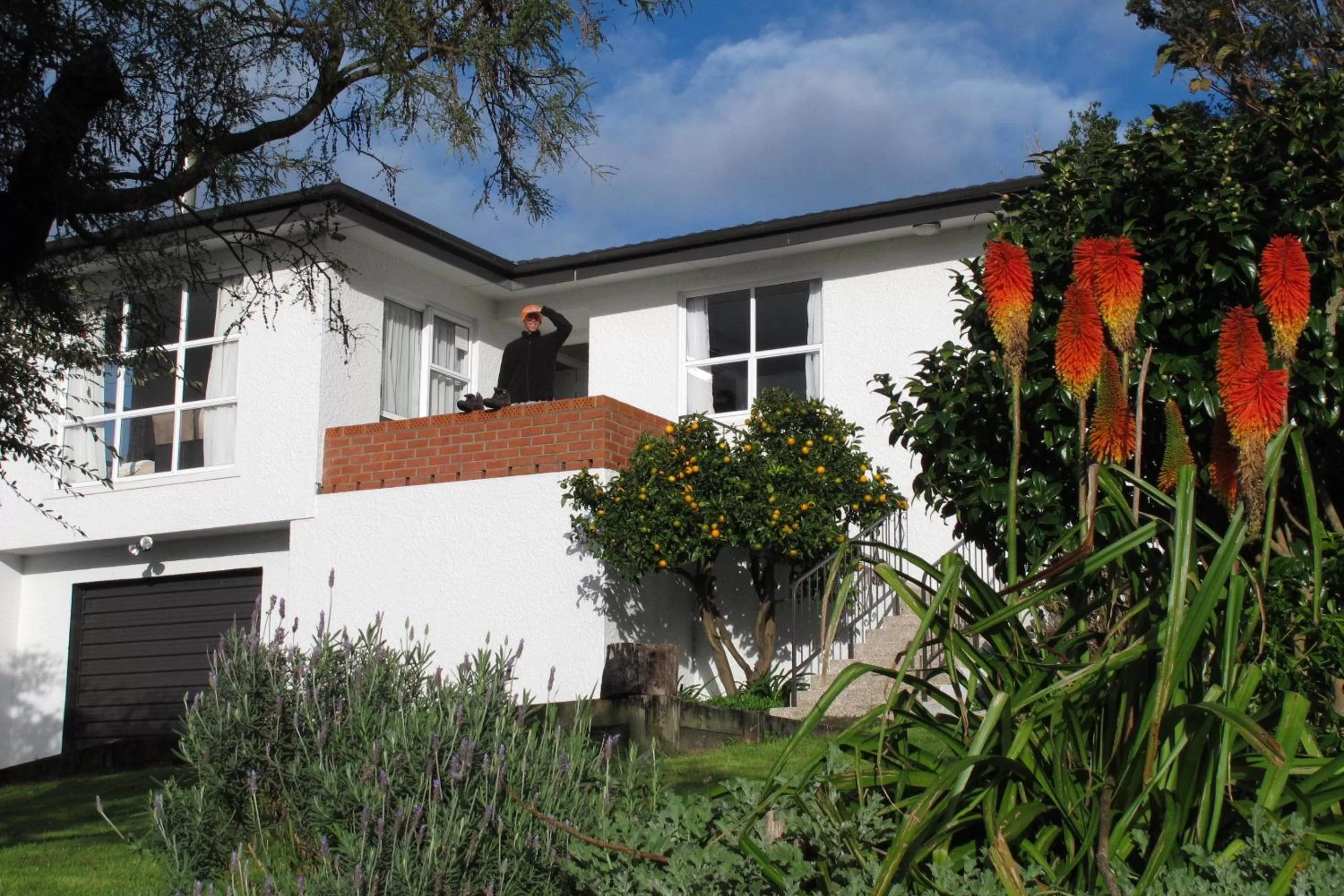 Garden view in 16 Havelock