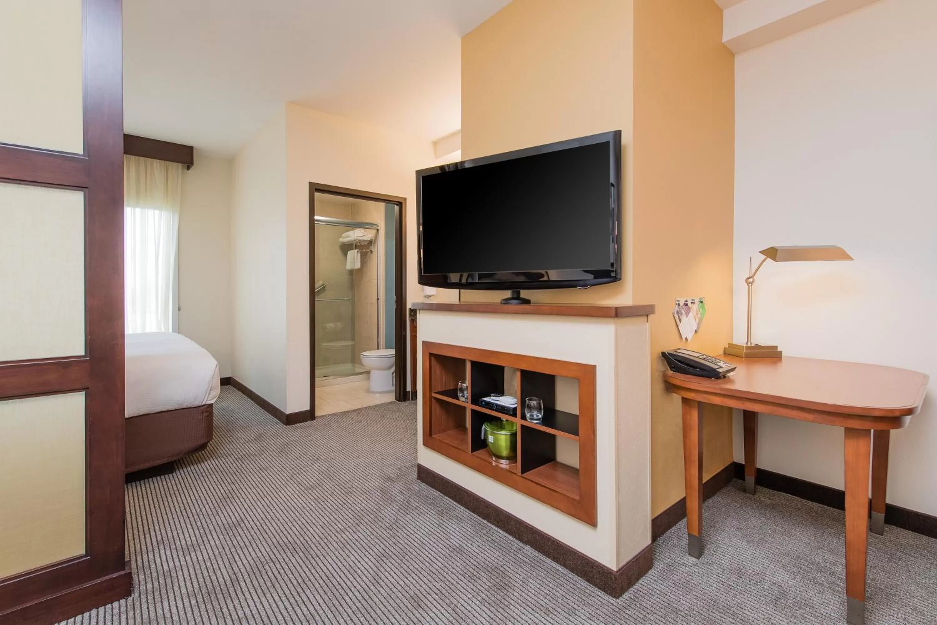 TV and multimedia, Bed in Hyatt Place Charleston Airport / Convention Center