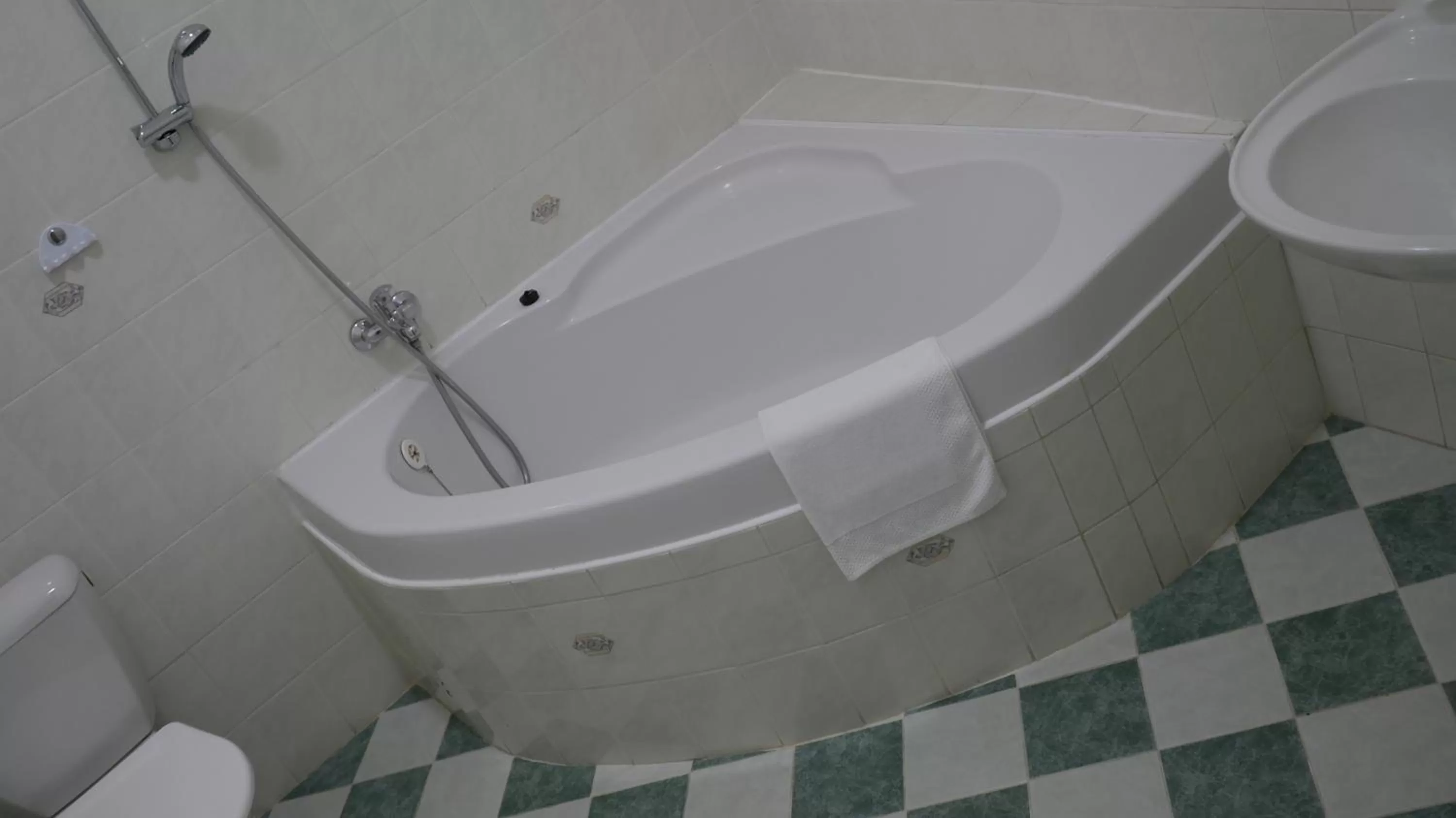 Hotel Bílý Koníček