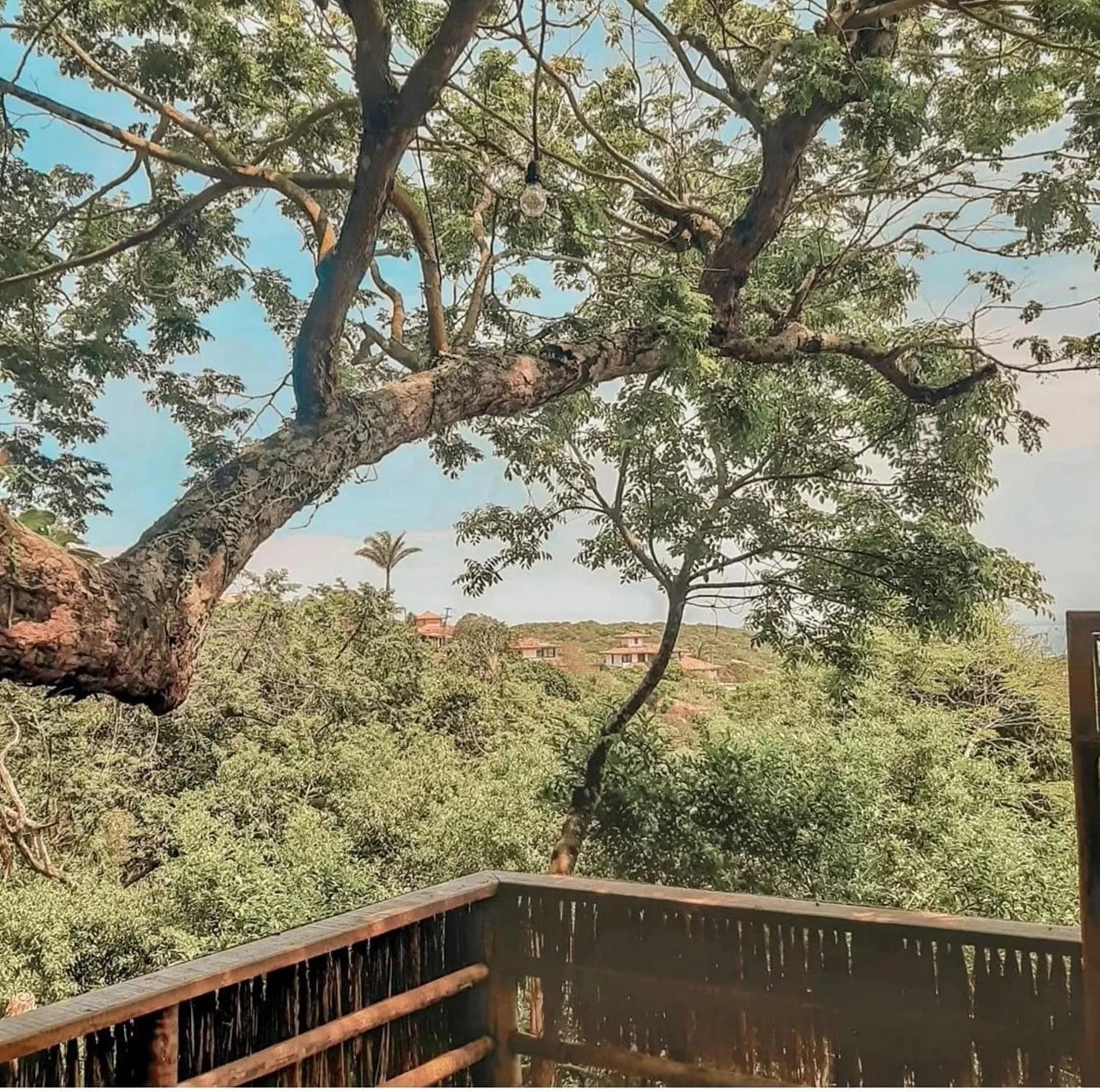 Balcony/Terrace in La Belle Maison Brigitte Bardot