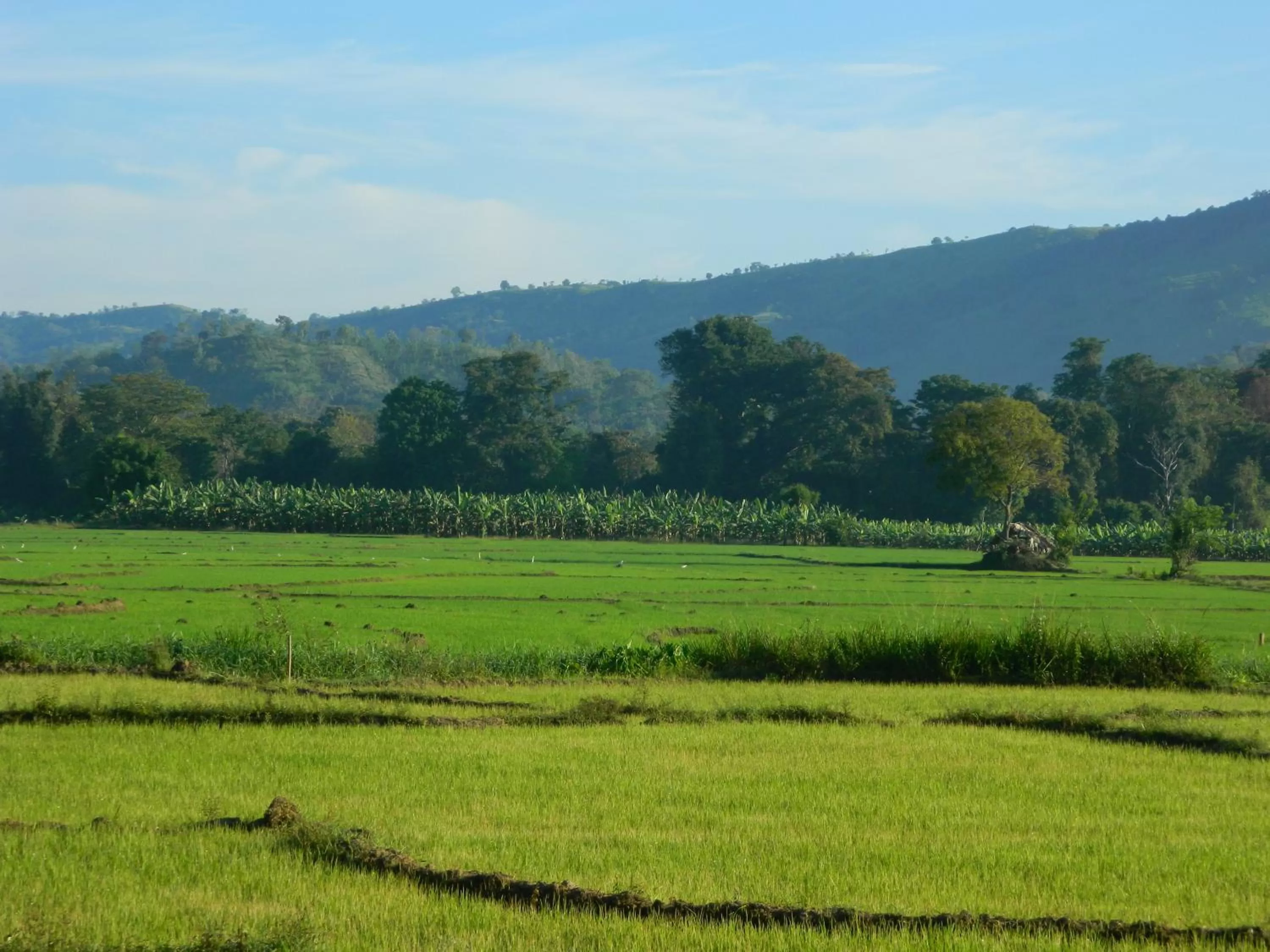 Natural landscape in New Ocean Vibes Ahangama