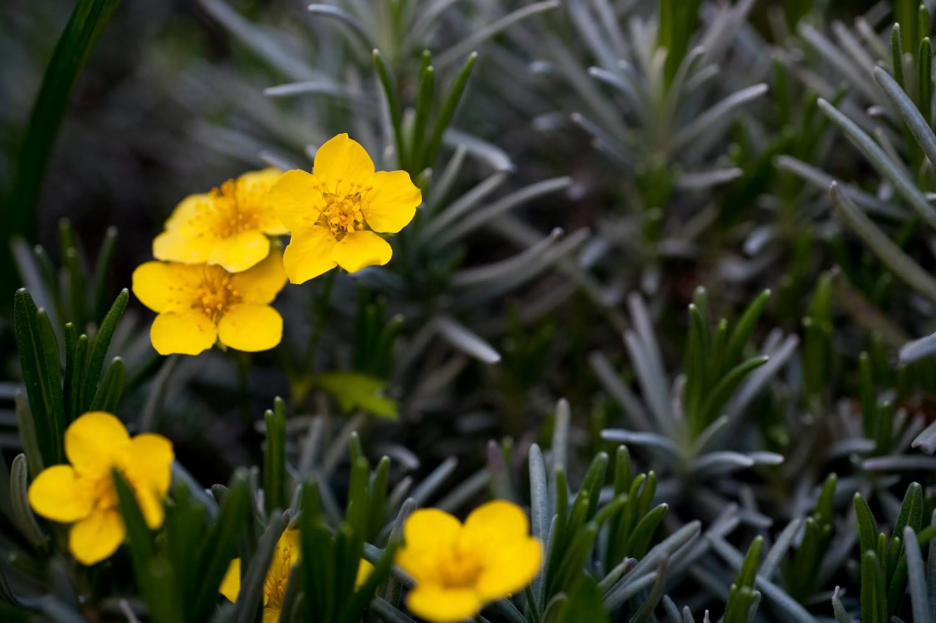 Other in Hotel Lechnerhof Unterföhring