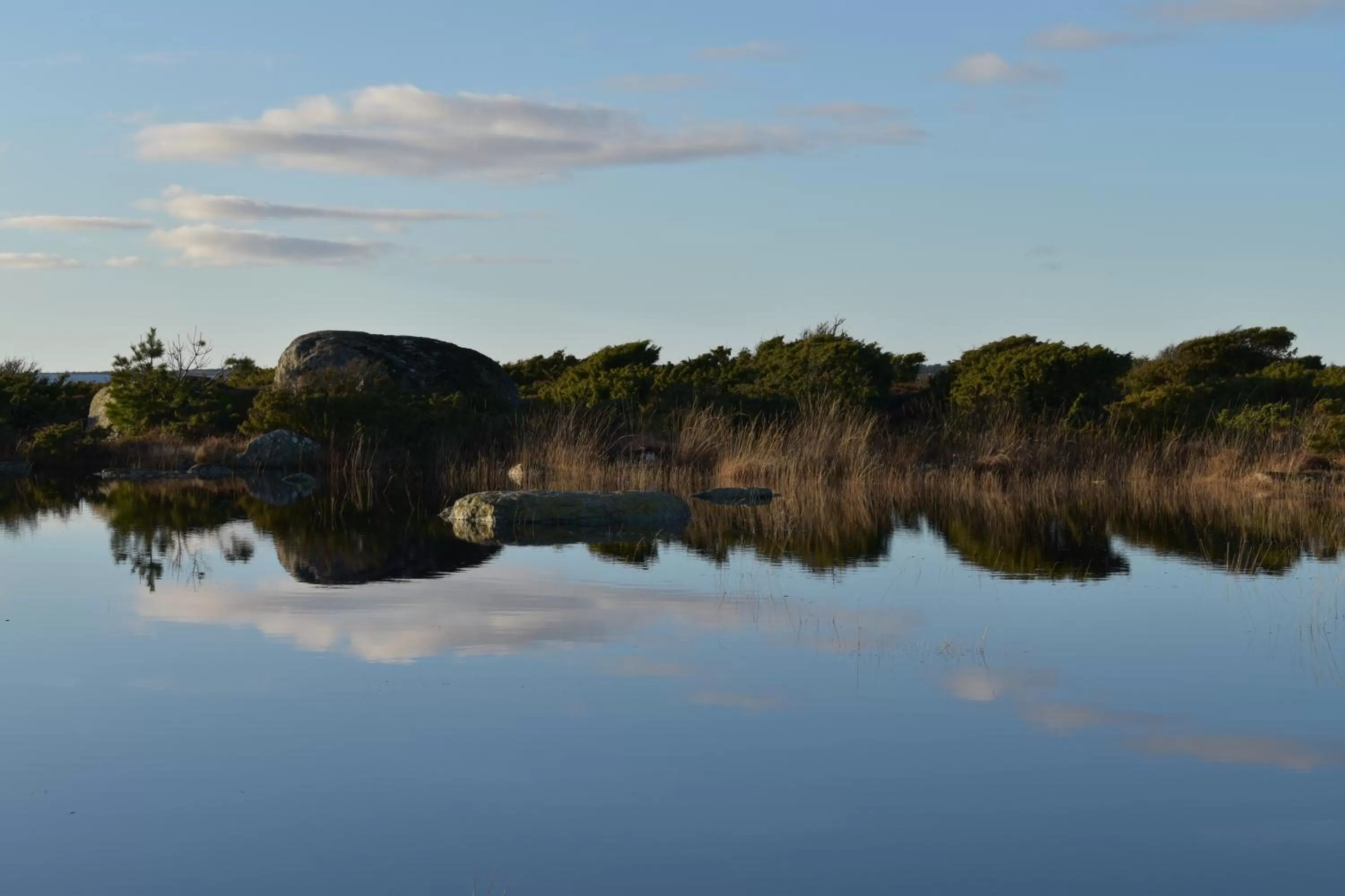 Natural landscape in Åsa Jutegård