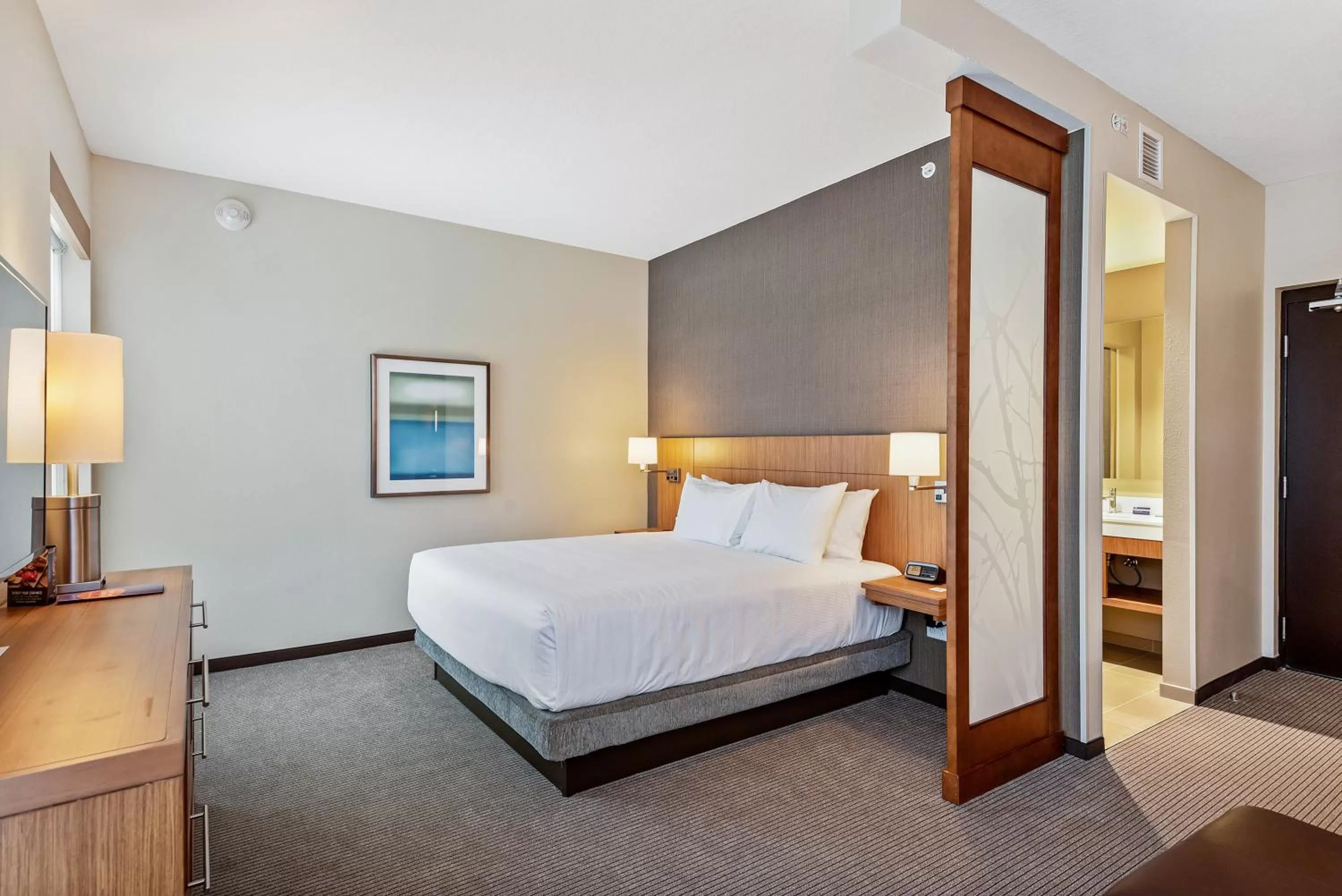 Bedroom, Bed in Hyatt Place Tampa/Wesley Chapel