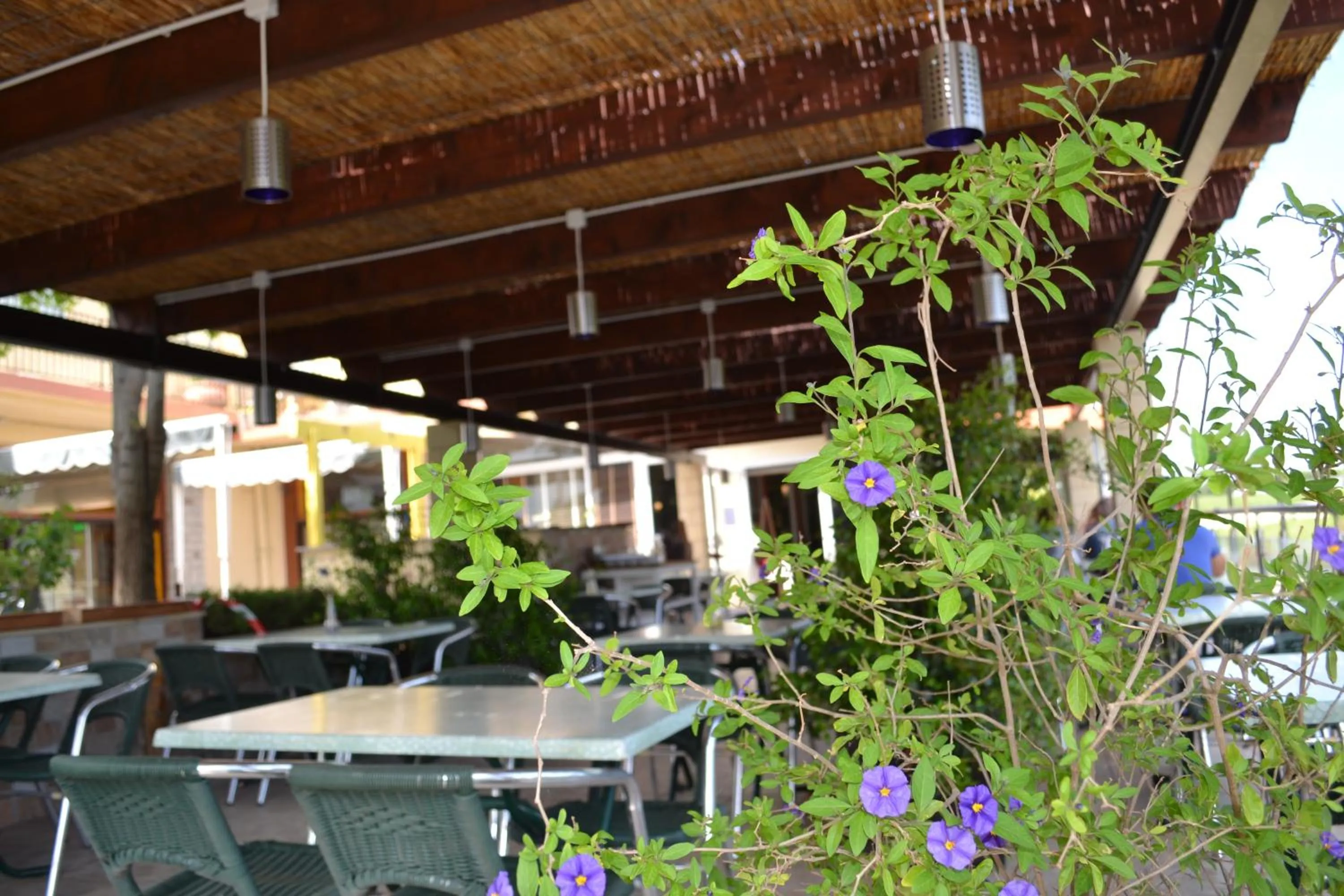 Patio in Hôtel restaurant Mon Auberge