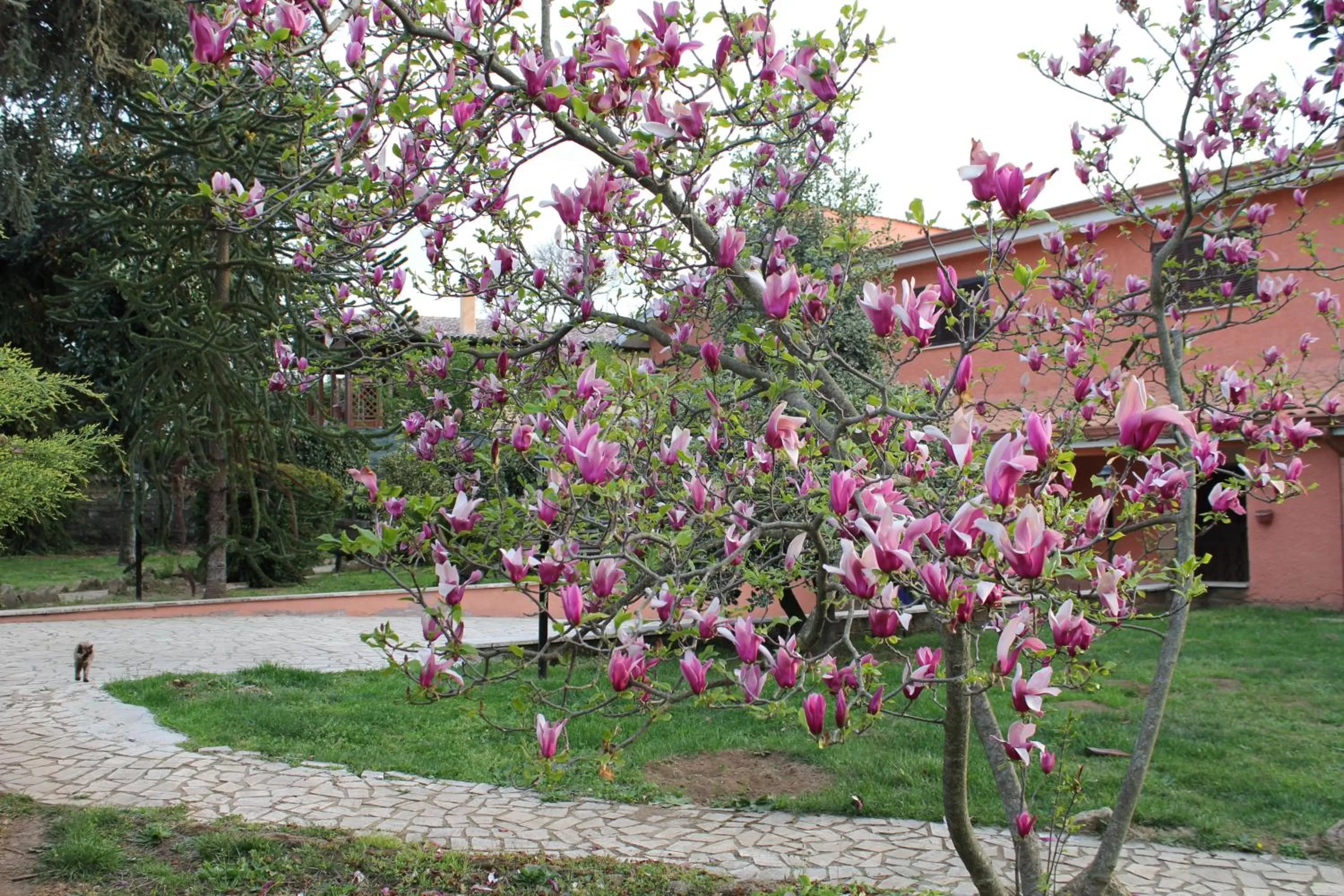 Garden in Il sottosopra