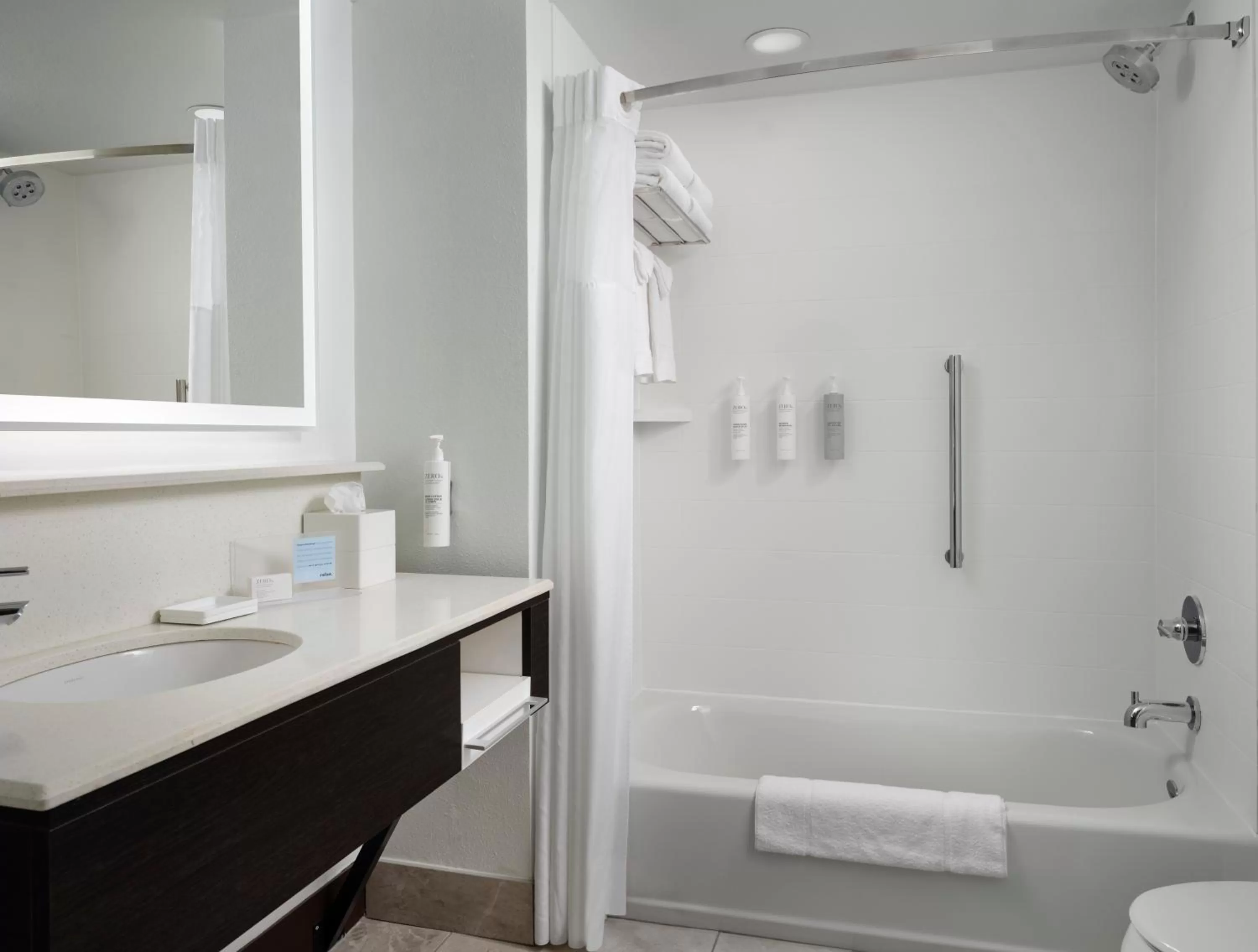 Bathroom in Hampton Inn & Suites Austin - Downtown