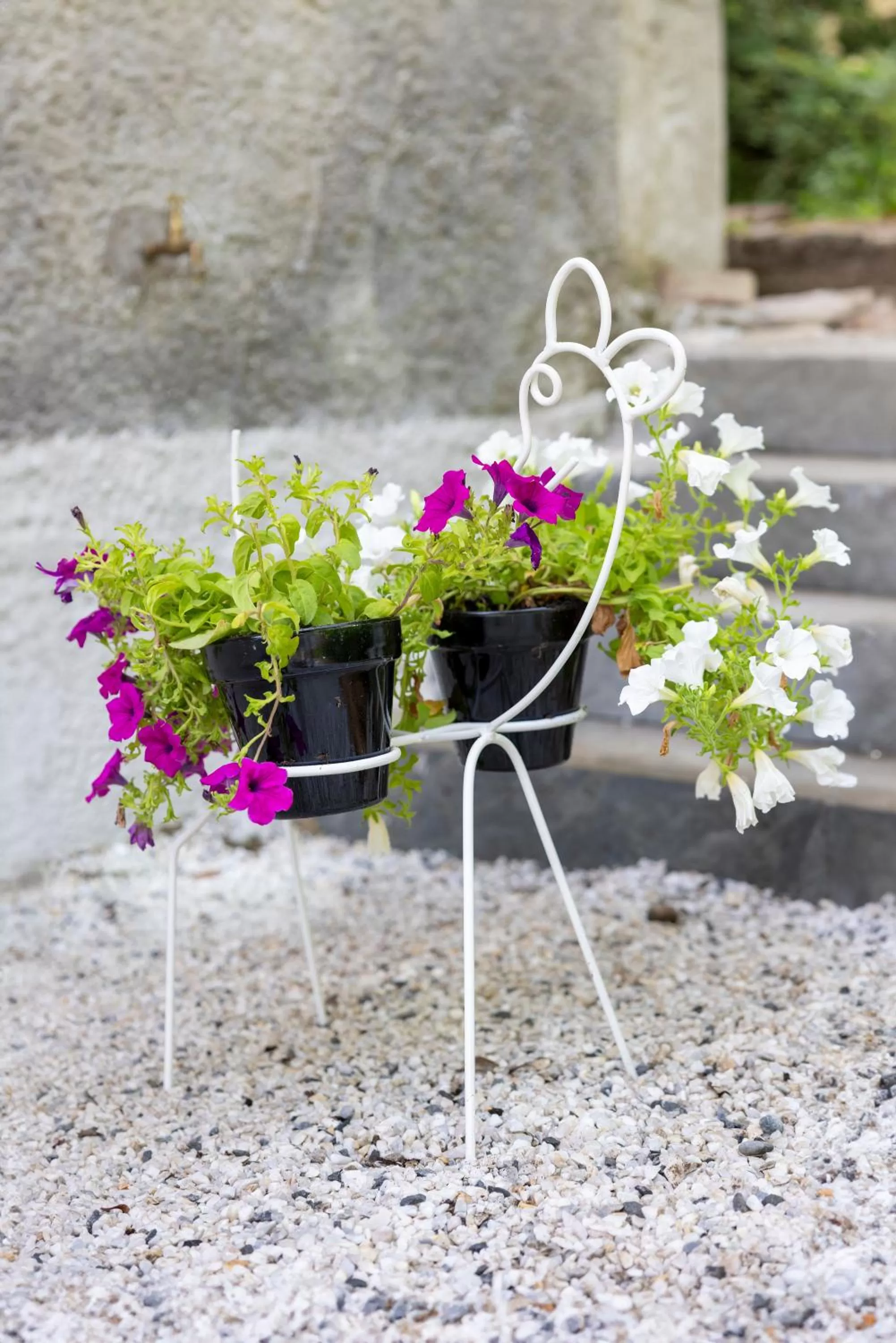 Frantoio Del Moscatello