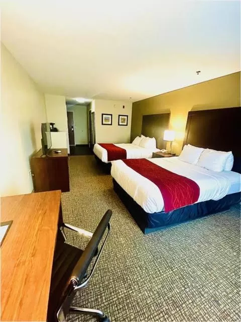 Property building, Bed in Comfort Inn Hebron-Lowell Area