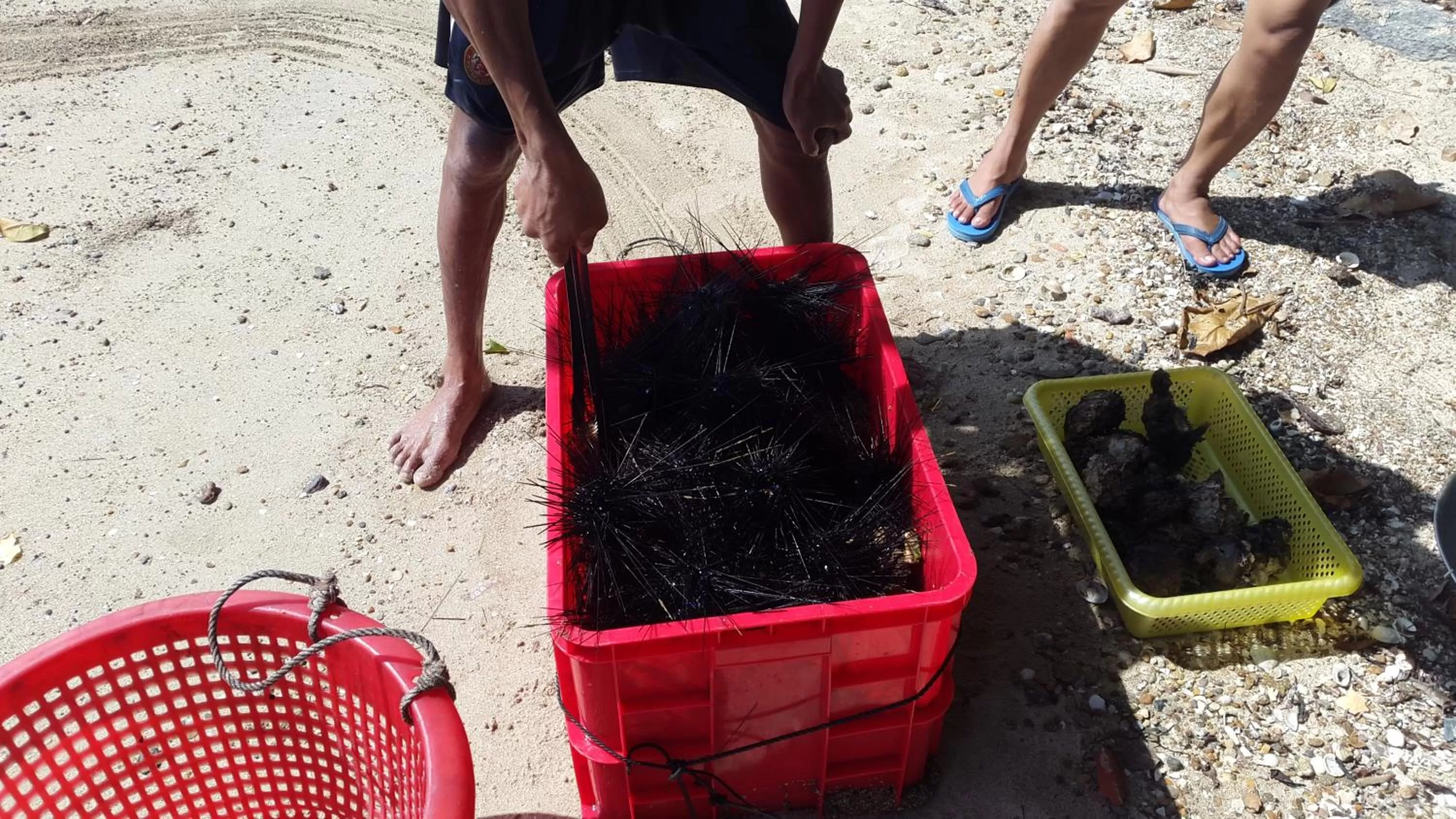 Area and facilities in River Hotel