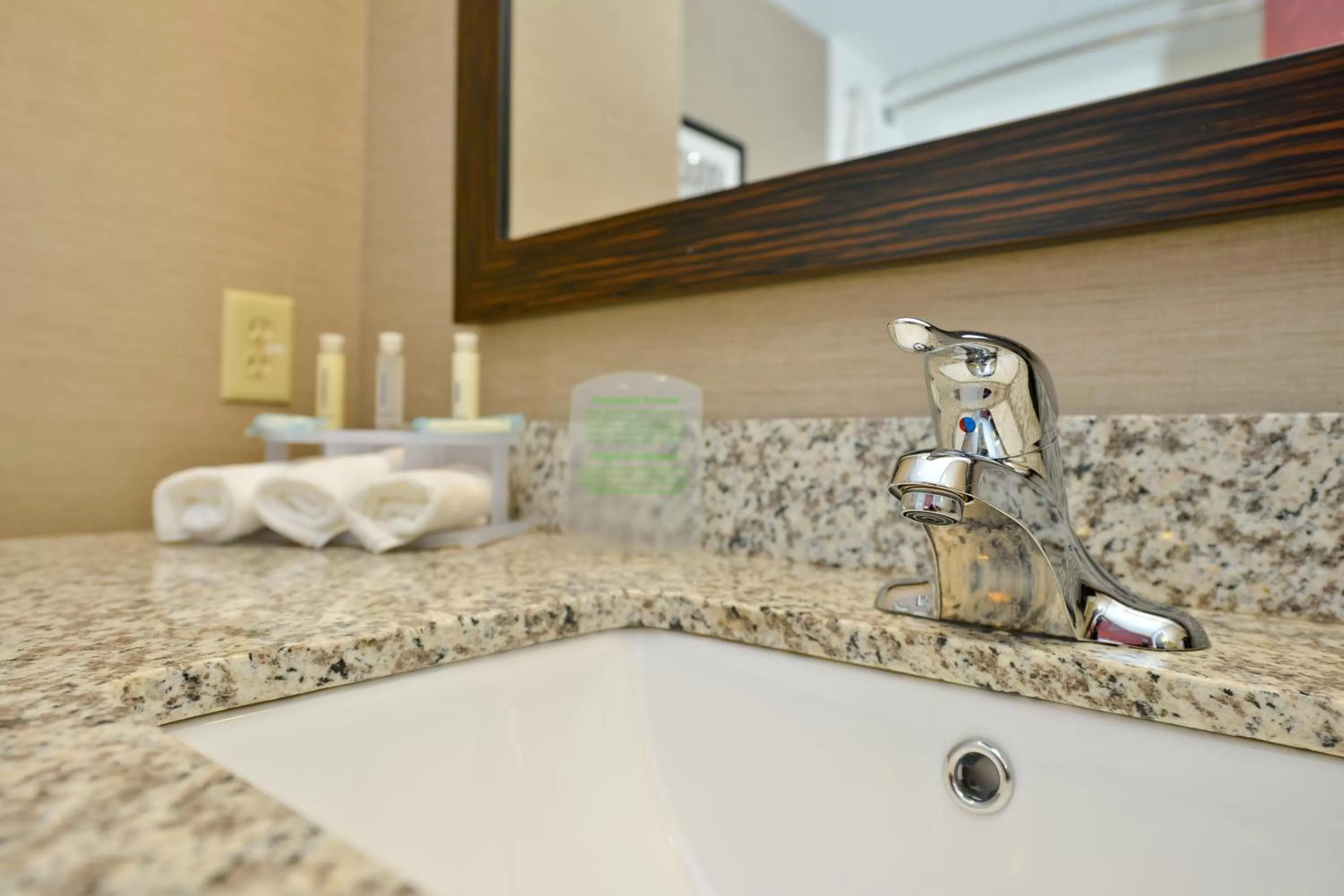 Deluxe King Room with Bath Tub - Disability Access in Holiday Inn Express Canandaigua, an IHG Hotel