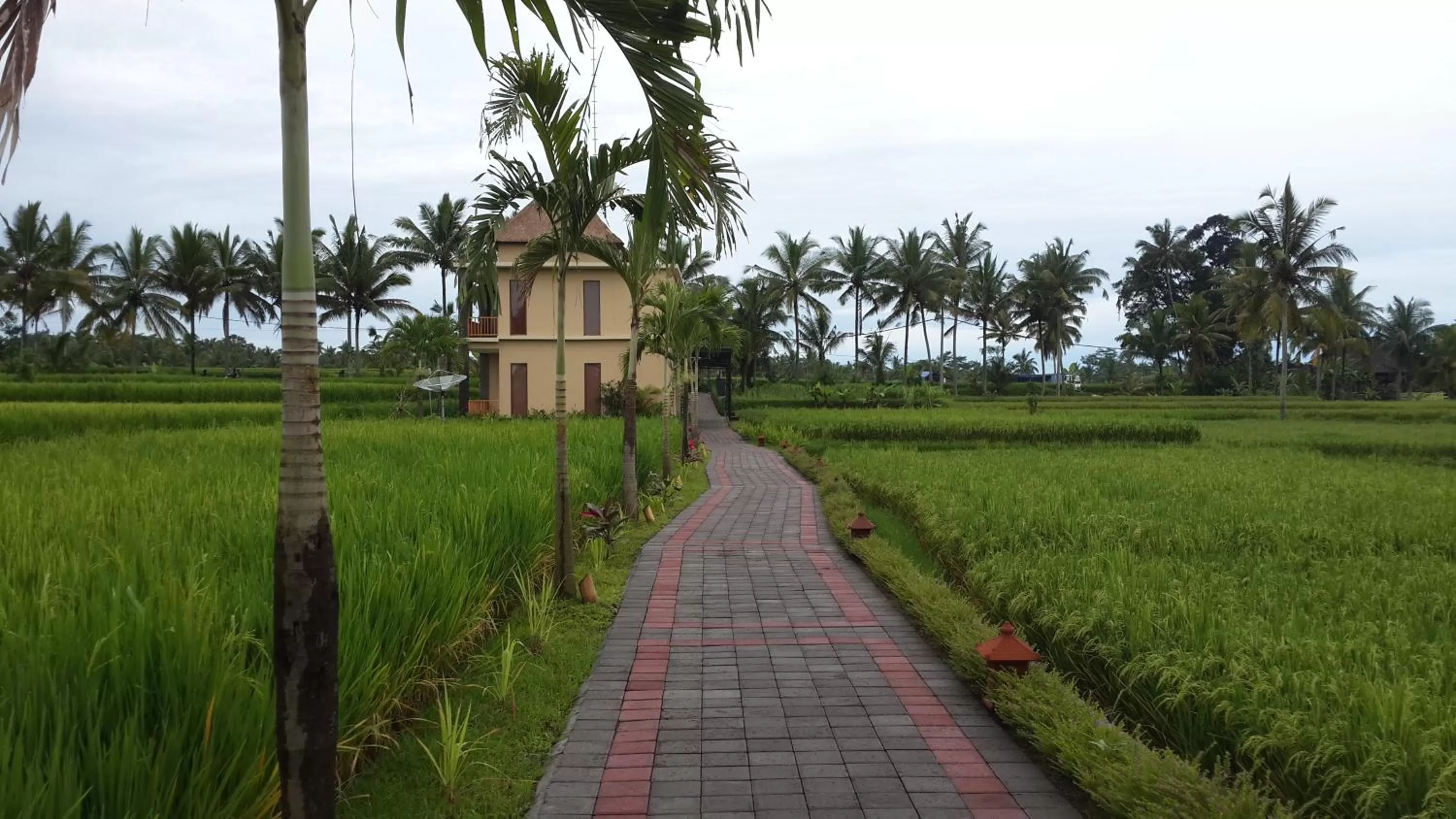 Garden in Manyi Village Ubud