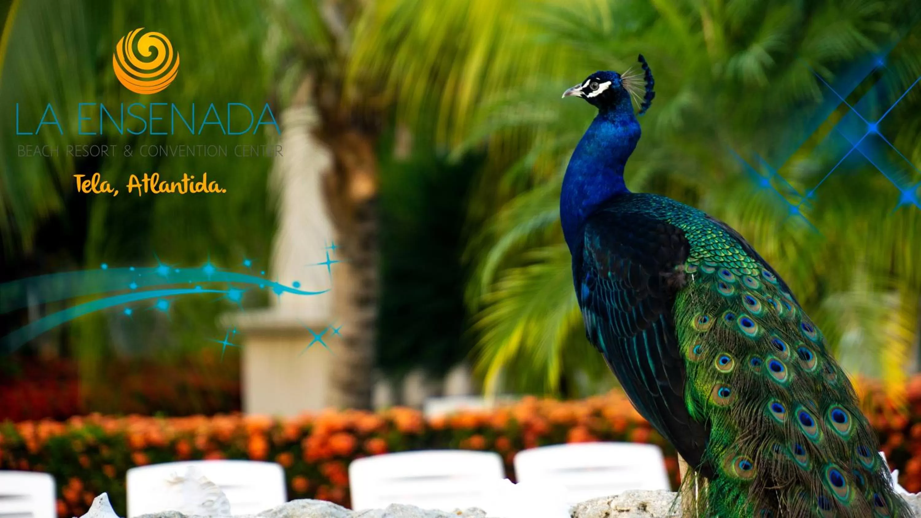 Property building in La Ensenada Beach Resort